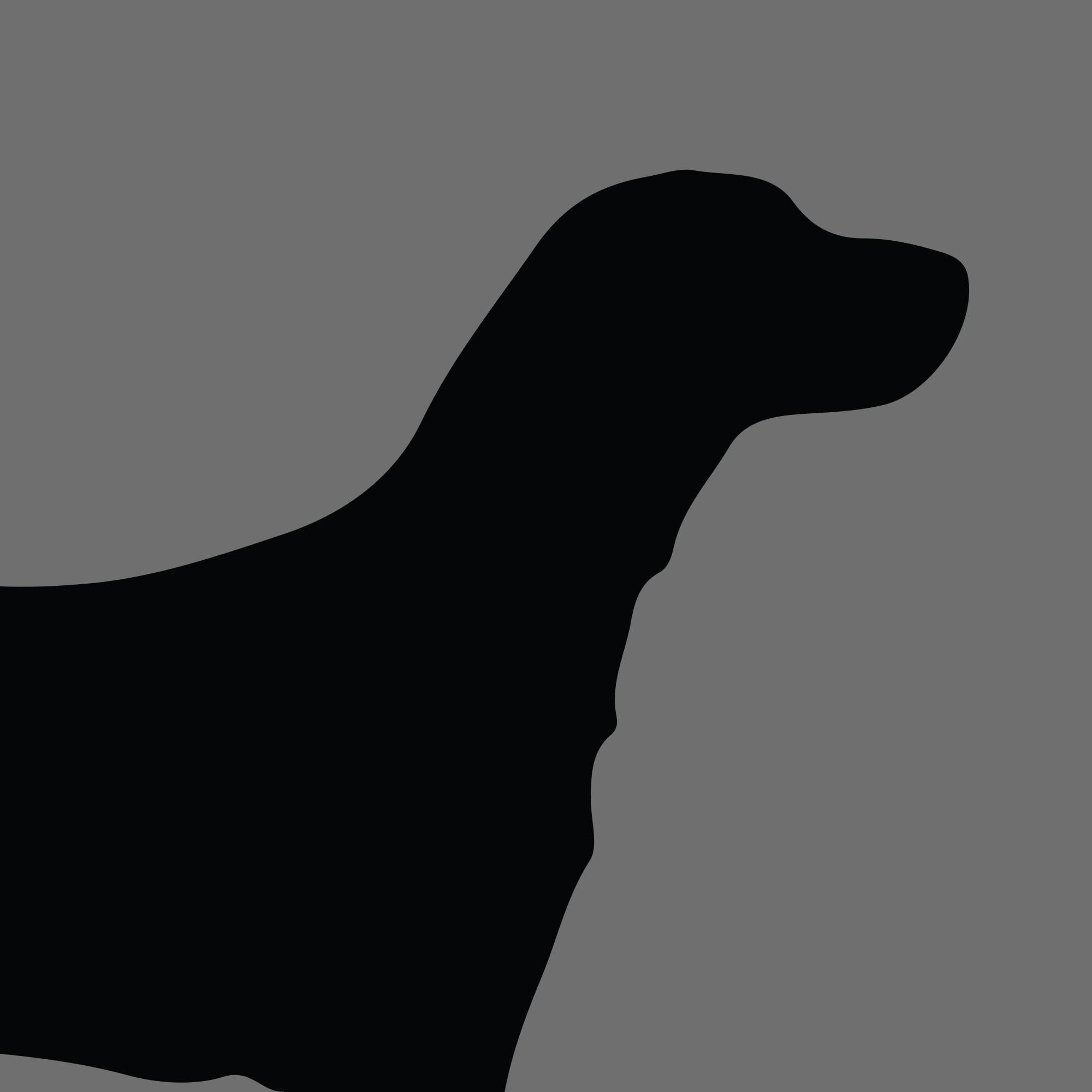 Dog Silhouette Square Large Munsterlander e1618472673502