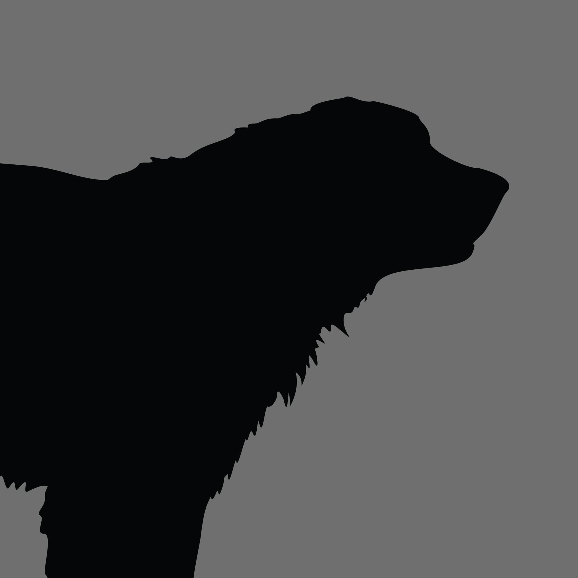 Dog Silhouette Square Leonberger