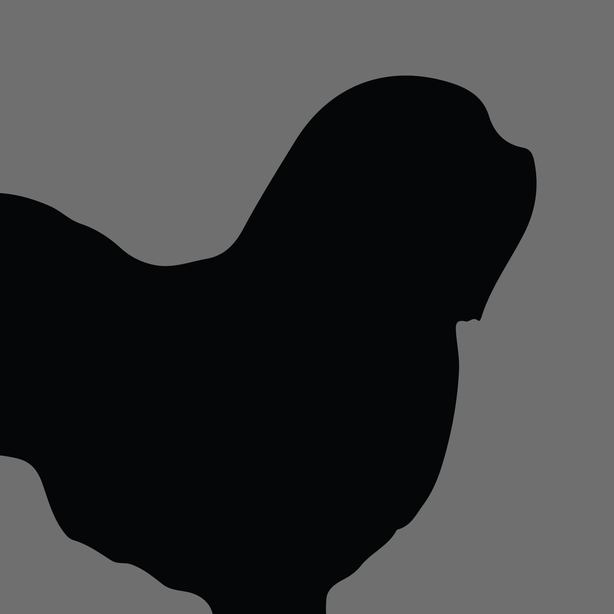 Dog Silhouette Square Lowchen