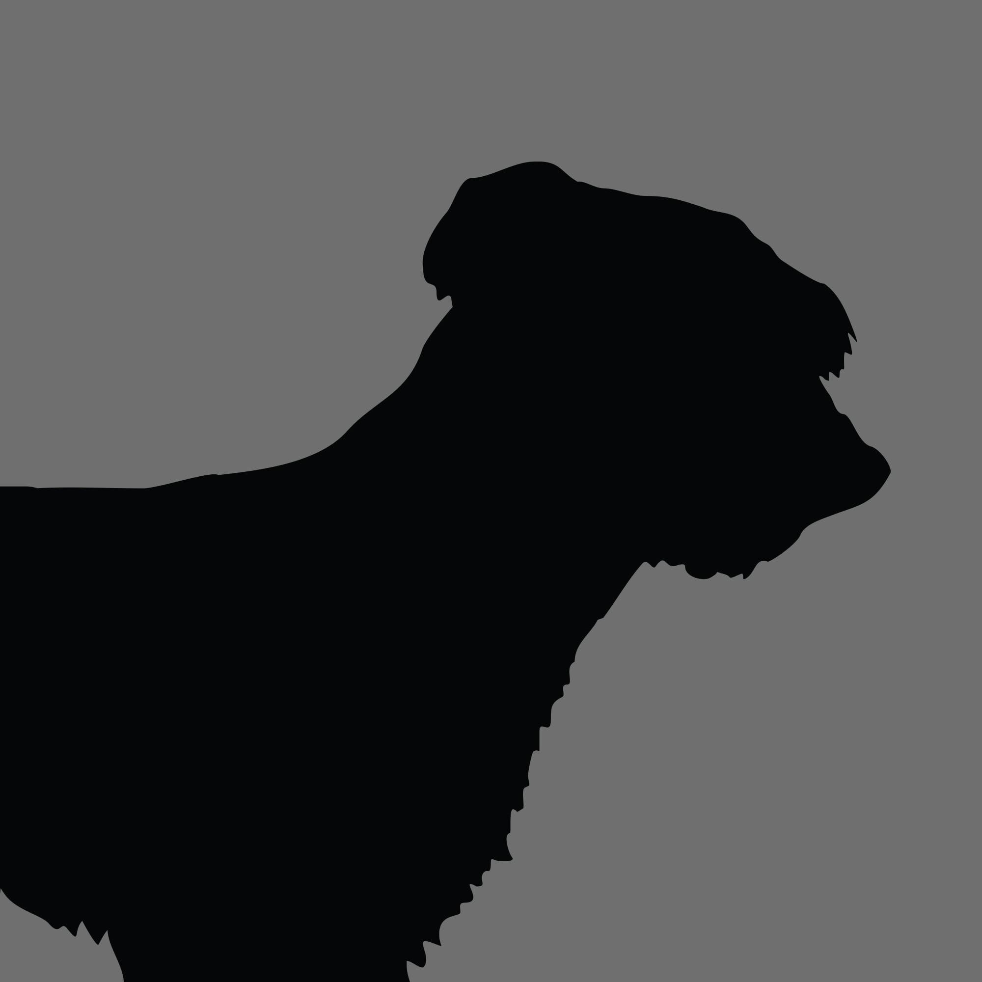Dog Silhouette Square Maremma Sheepdog e1618472719751