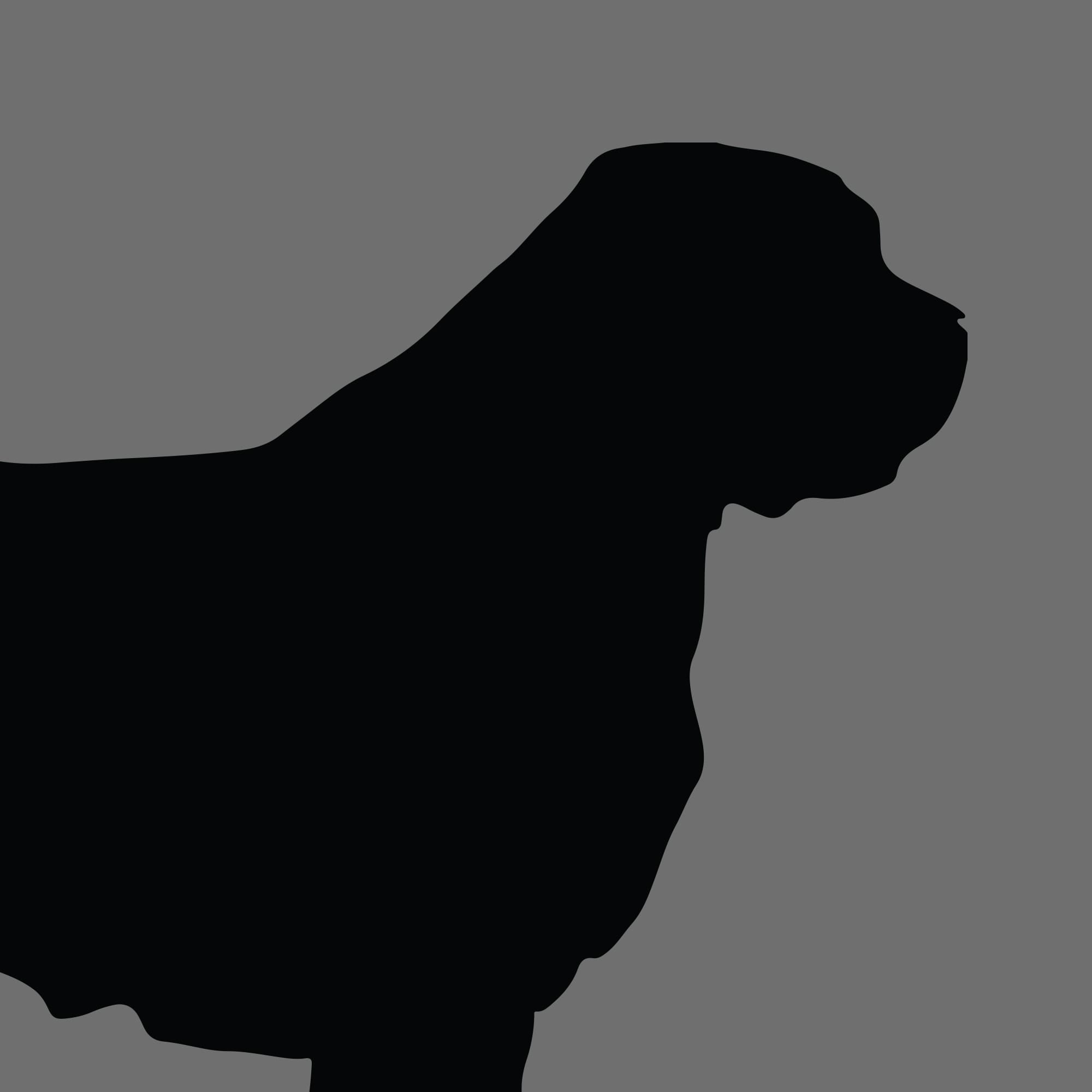 Dog Silhouette Square Norfolk Terrier