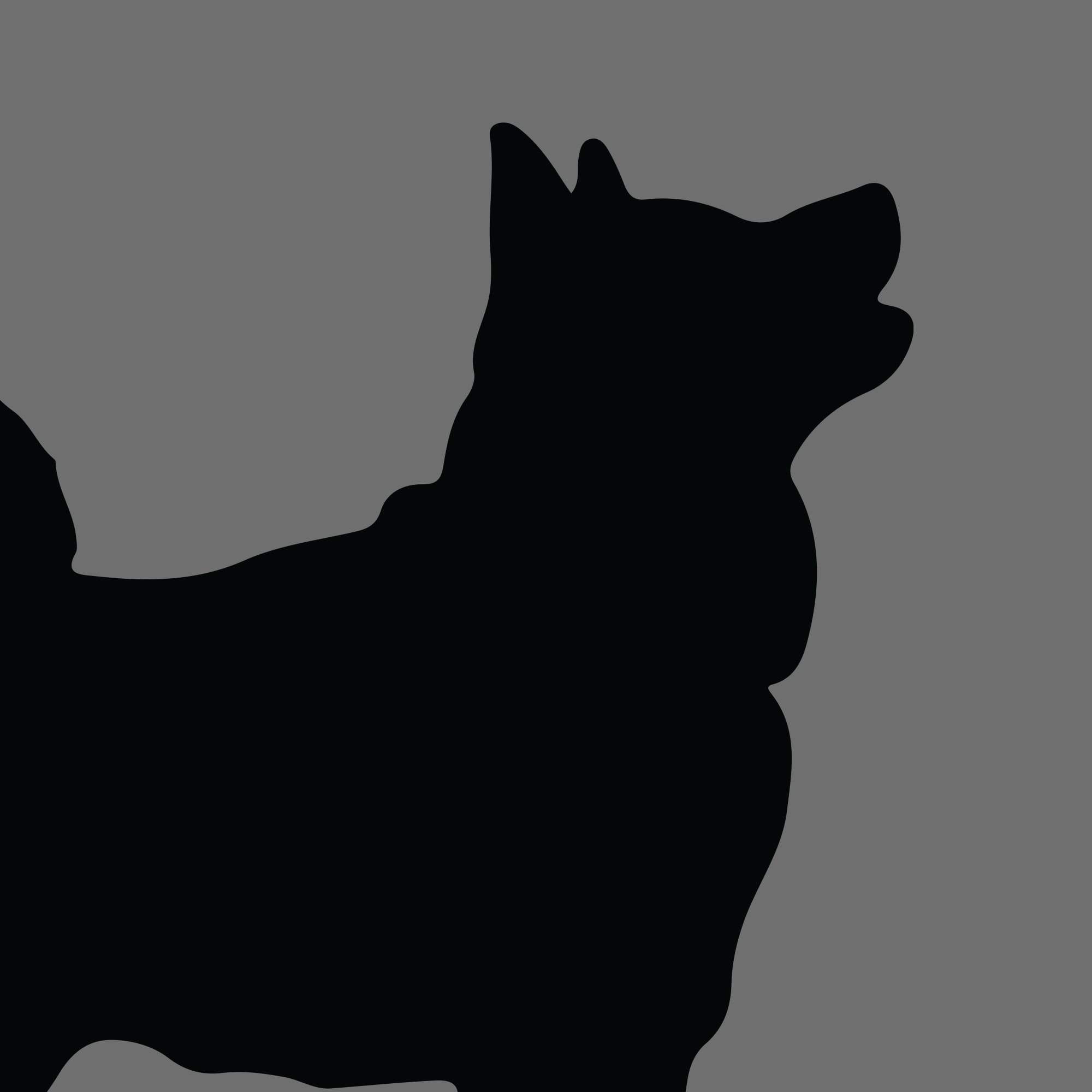 Dog Silhouette Square Norwegian Buhund