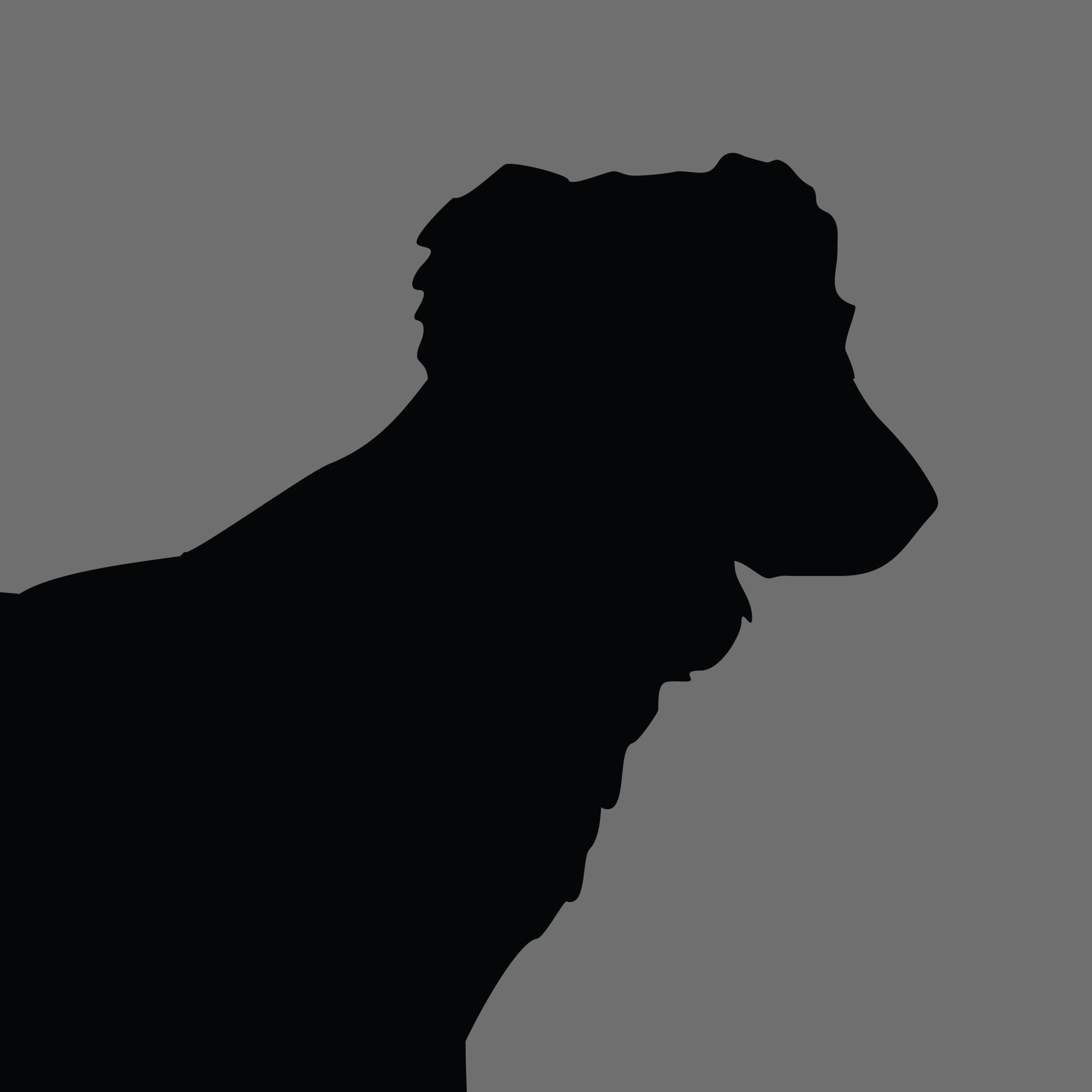 Dog Silhouette Square Nova Scotia Duck Tolling Retriever
