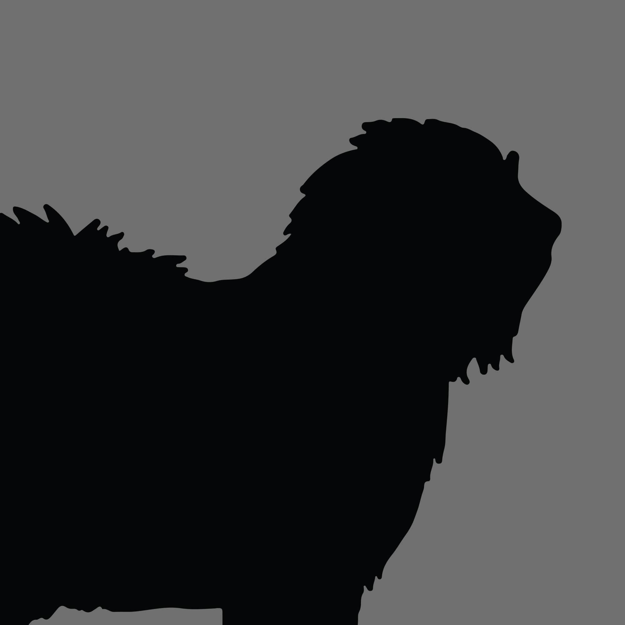 Dog Silhouette Square Old English Sheepdog e1618472921997