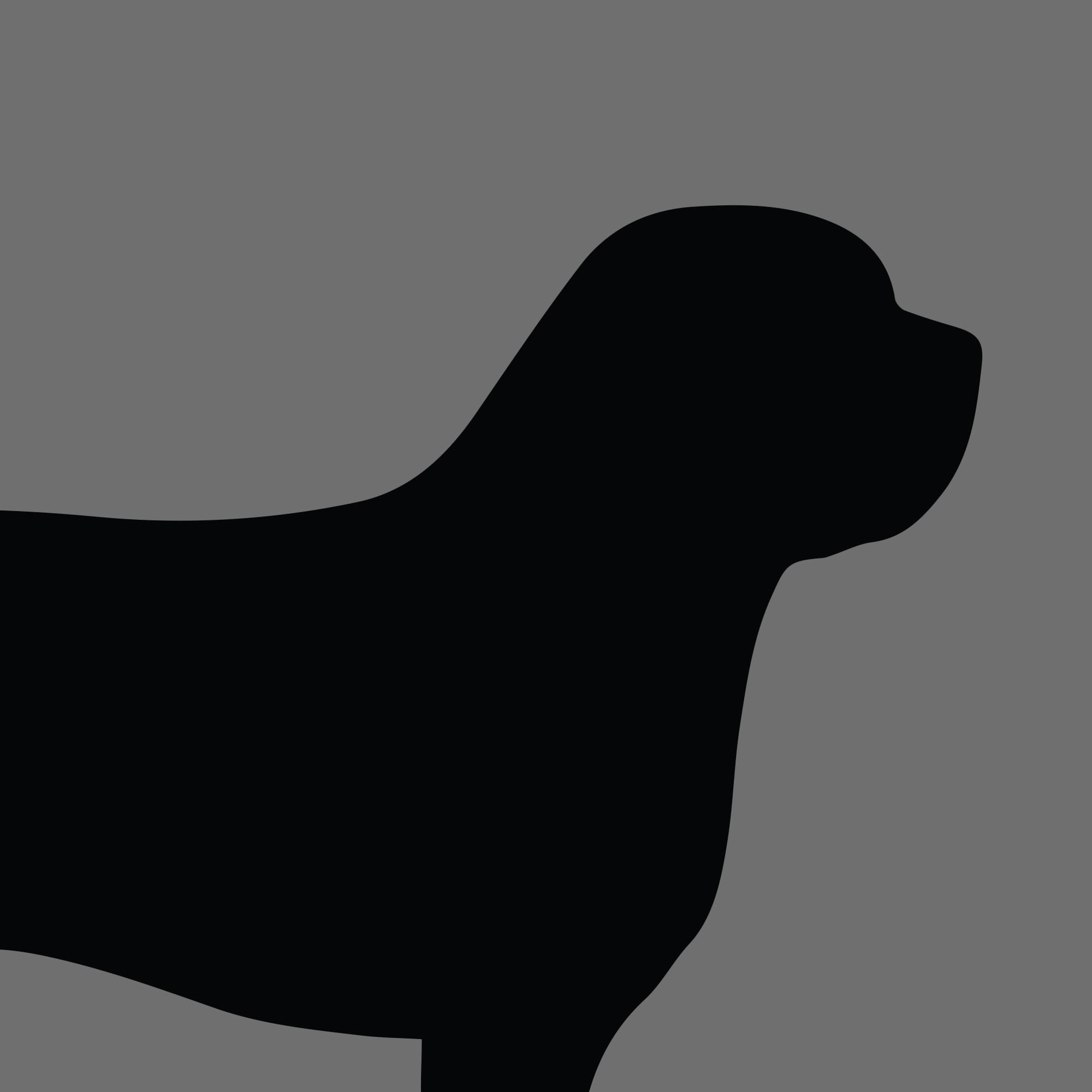Dog Silhouette Square Otterhound