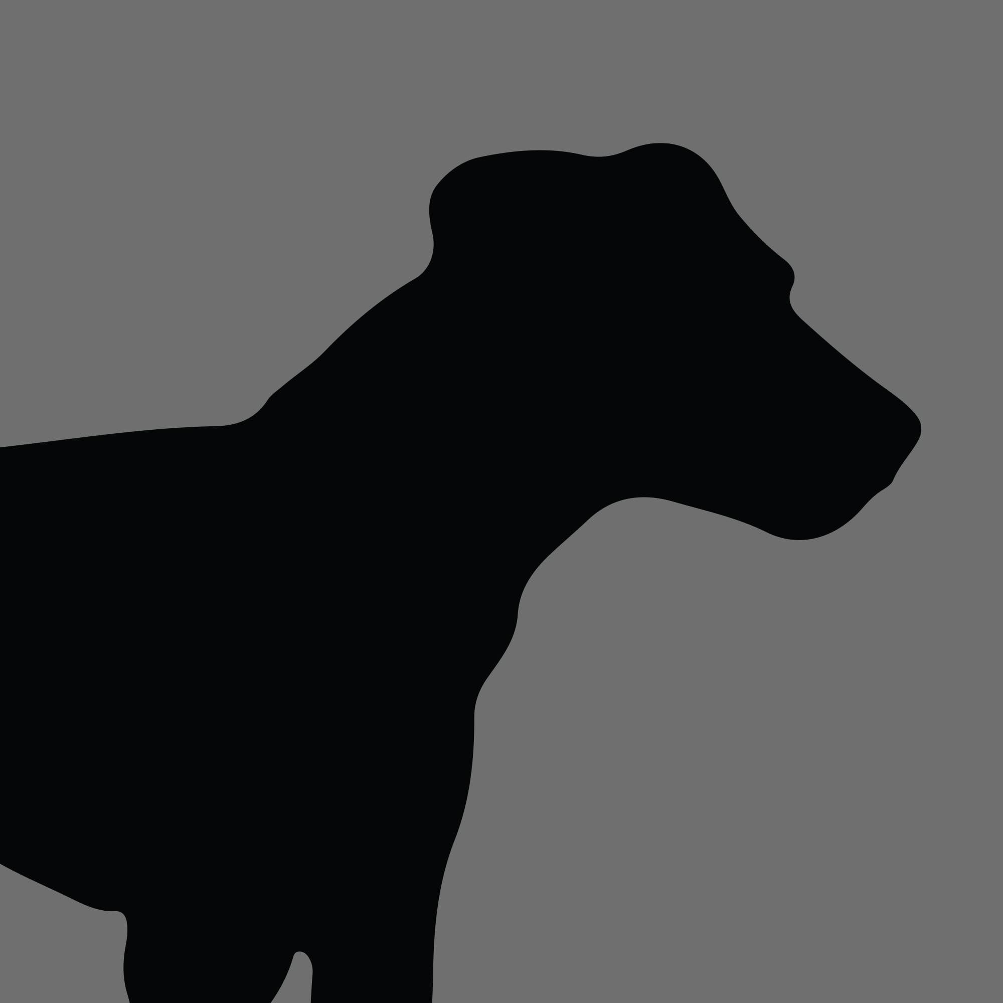 Dog Silhouette Square Parson Russell Terrier e1618473126385