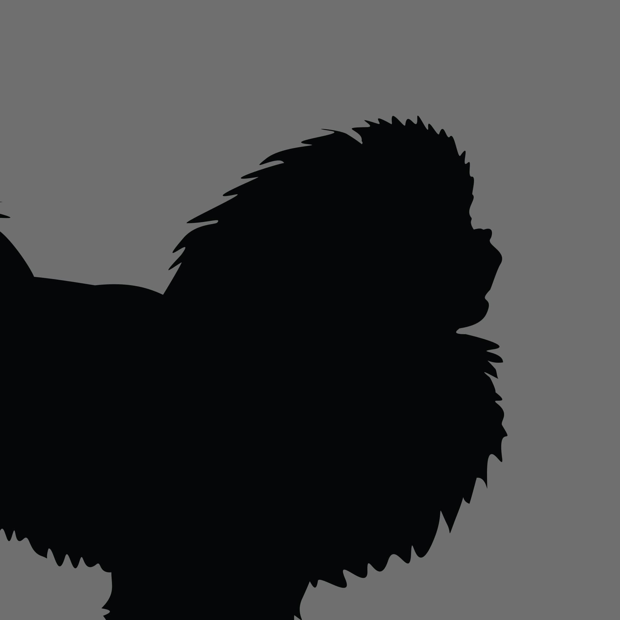 Dog Silhouette Square Pekingese