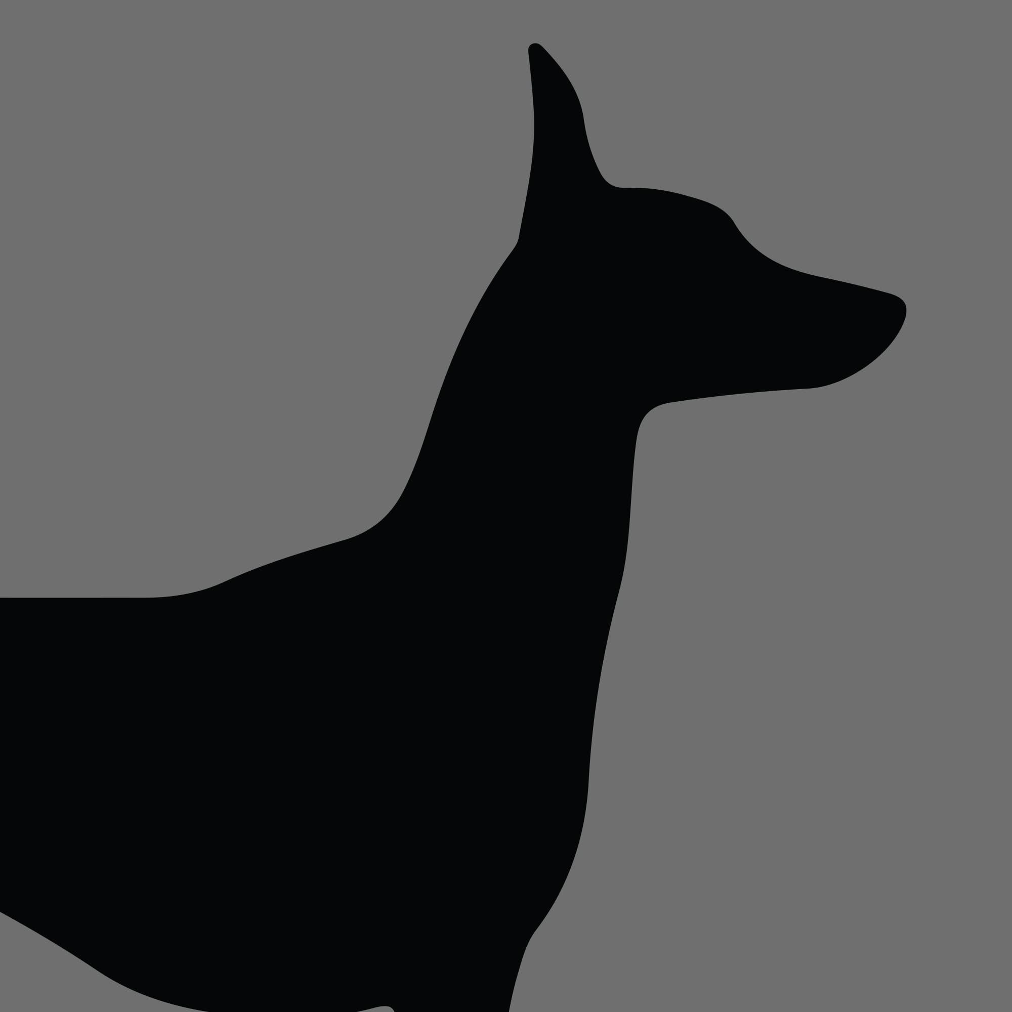 Dog Silhouette Square Peruvian Hairless Dog e1618489869173