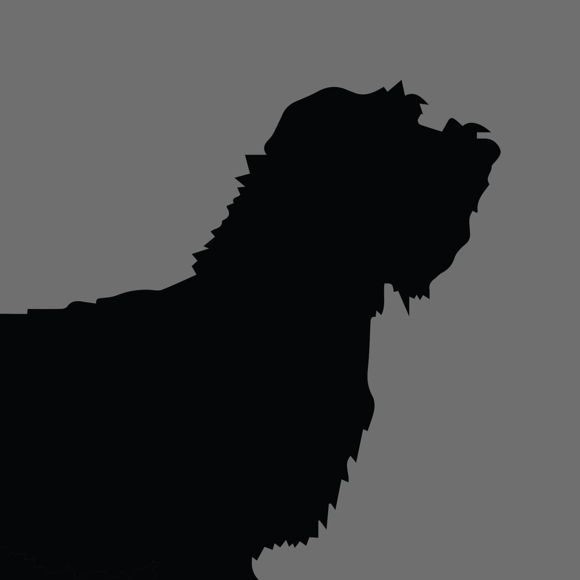 Dog Silhouette Square Petit Basset Griffon Vendeen e1618489884840