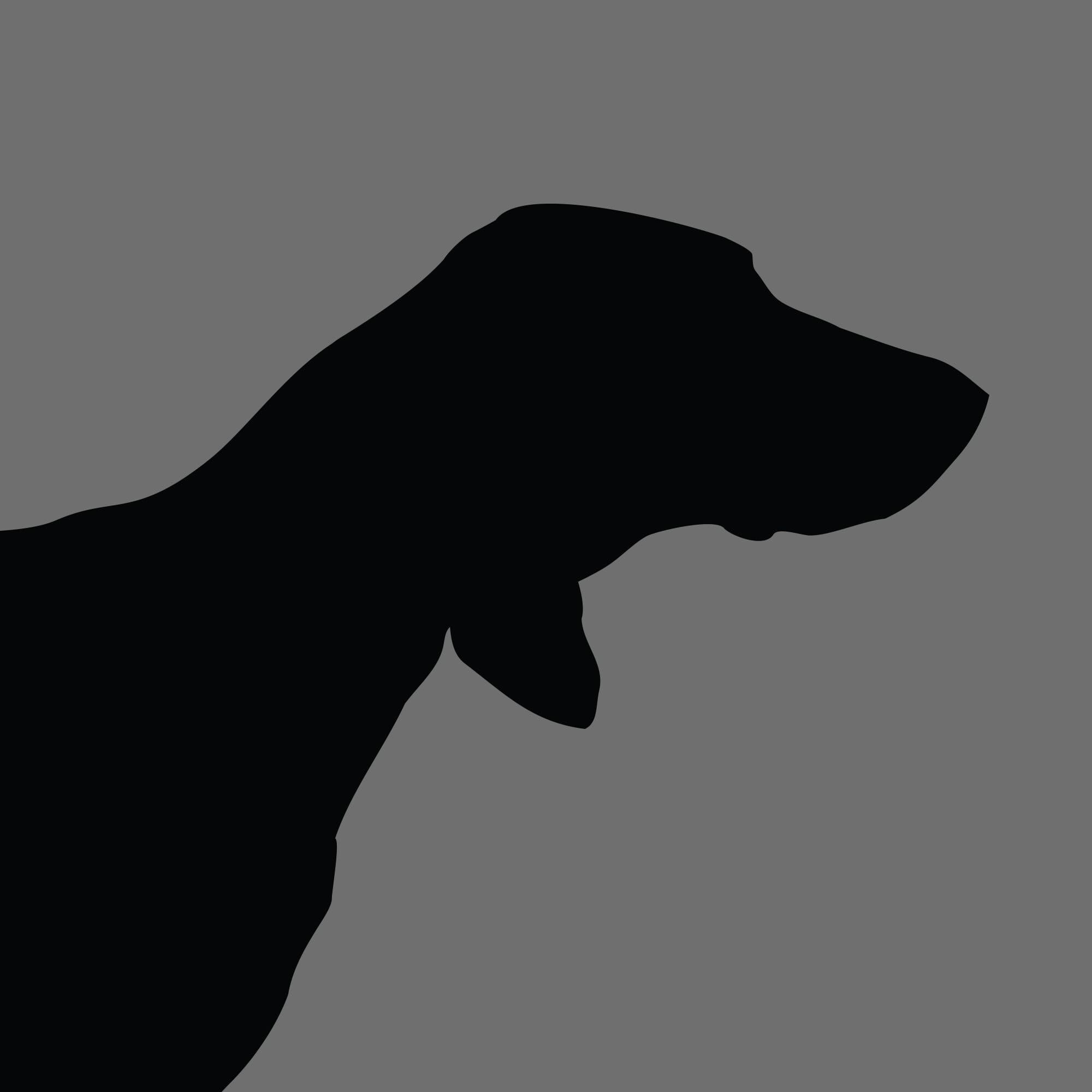 Dog Silhouette Square Pointer e1618490261783