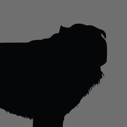 Dog Silhouette Square Polish Lowland Sheepdog e1623213206790