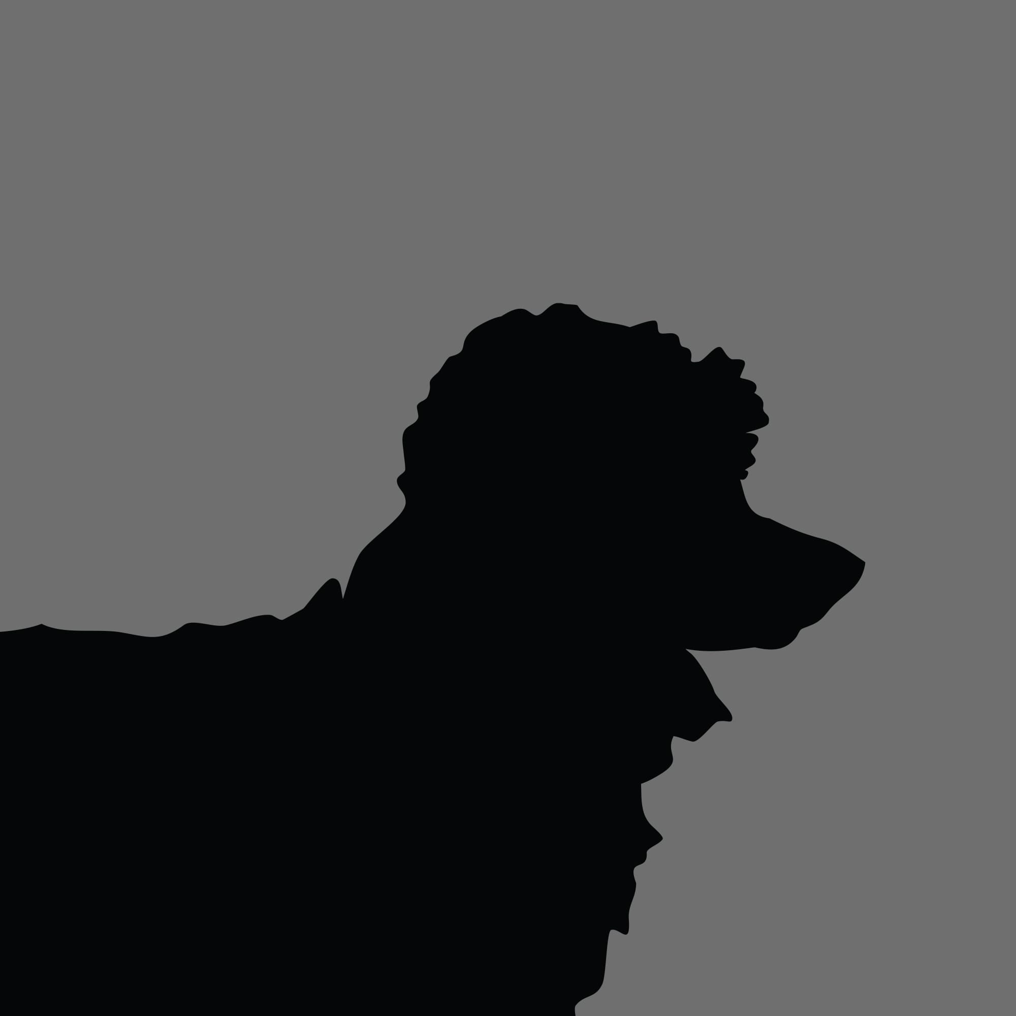 Dog Silhouette Square Poodle Miniature