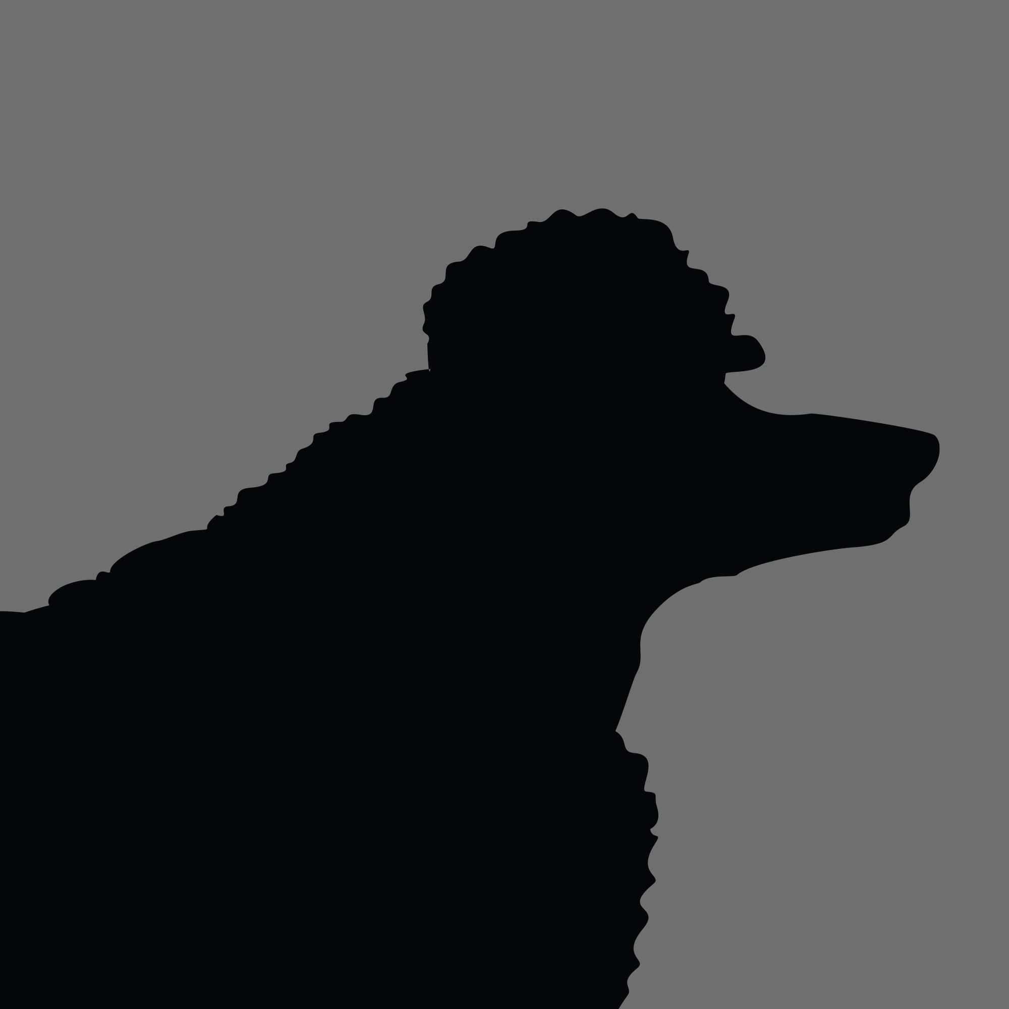 Dog Silhouette Square Poodle Standard