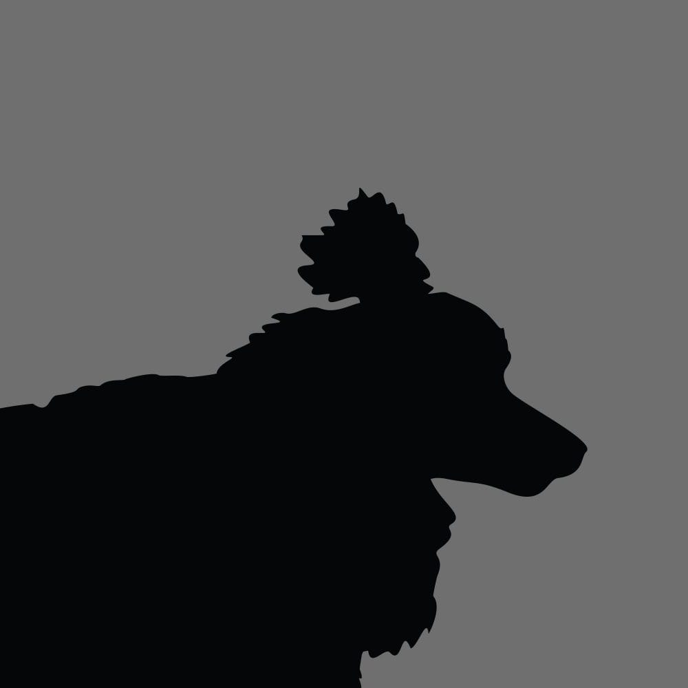 Dog Silhouette Square Poodle Toy e1623213071976