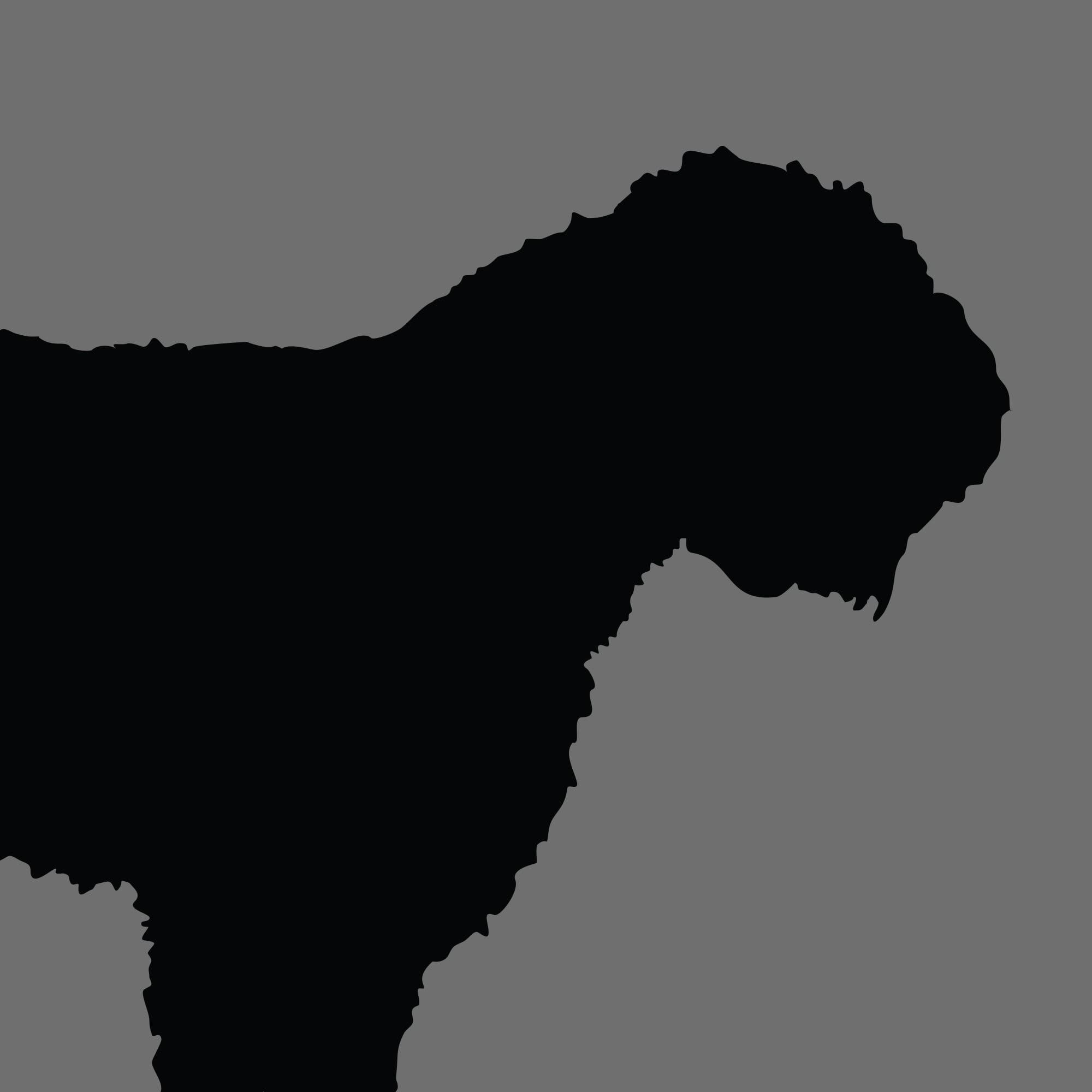 Dog Silhouette Square Portuguese Water Dog e1618490284650