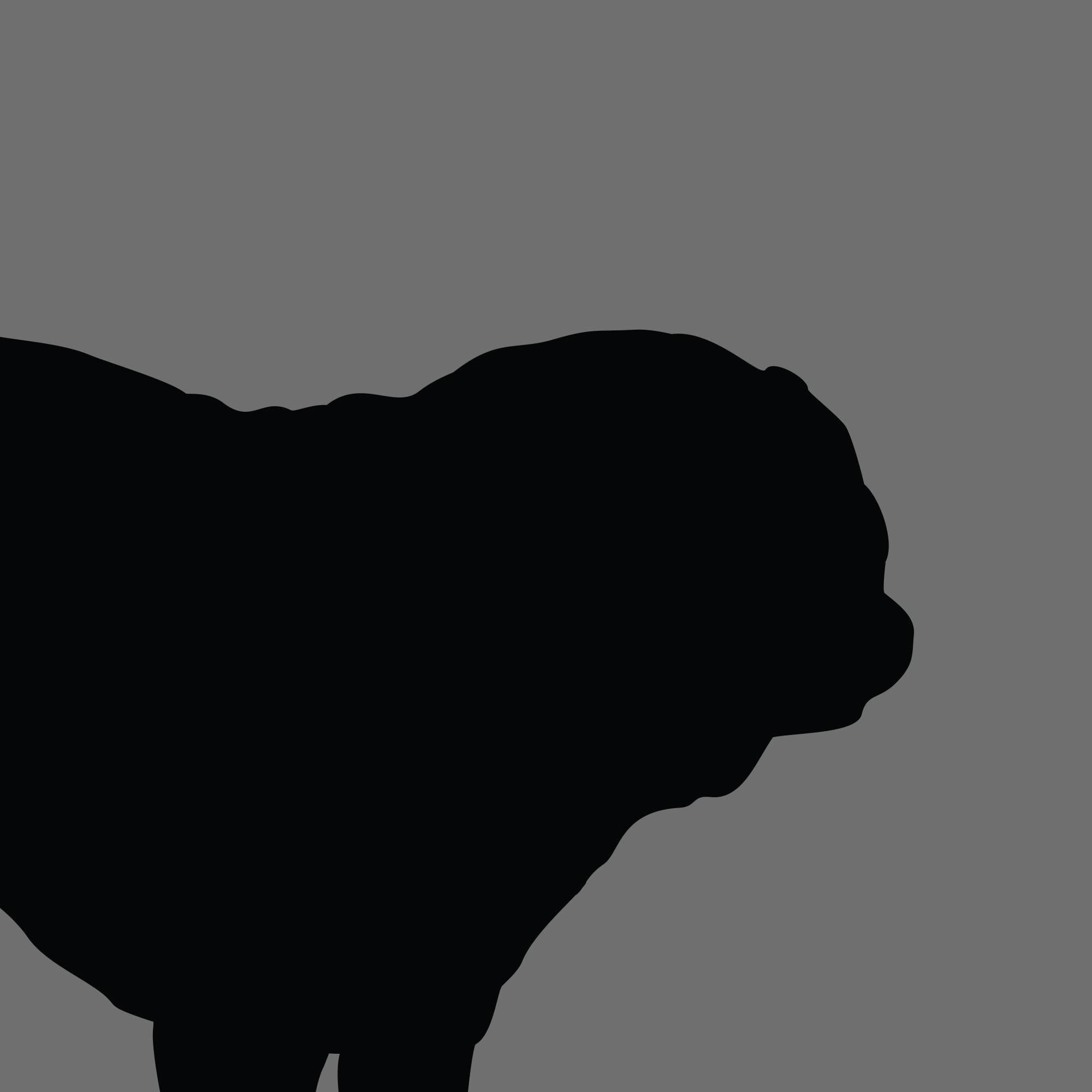 Dog Silhouette Square Pug e1618377636364