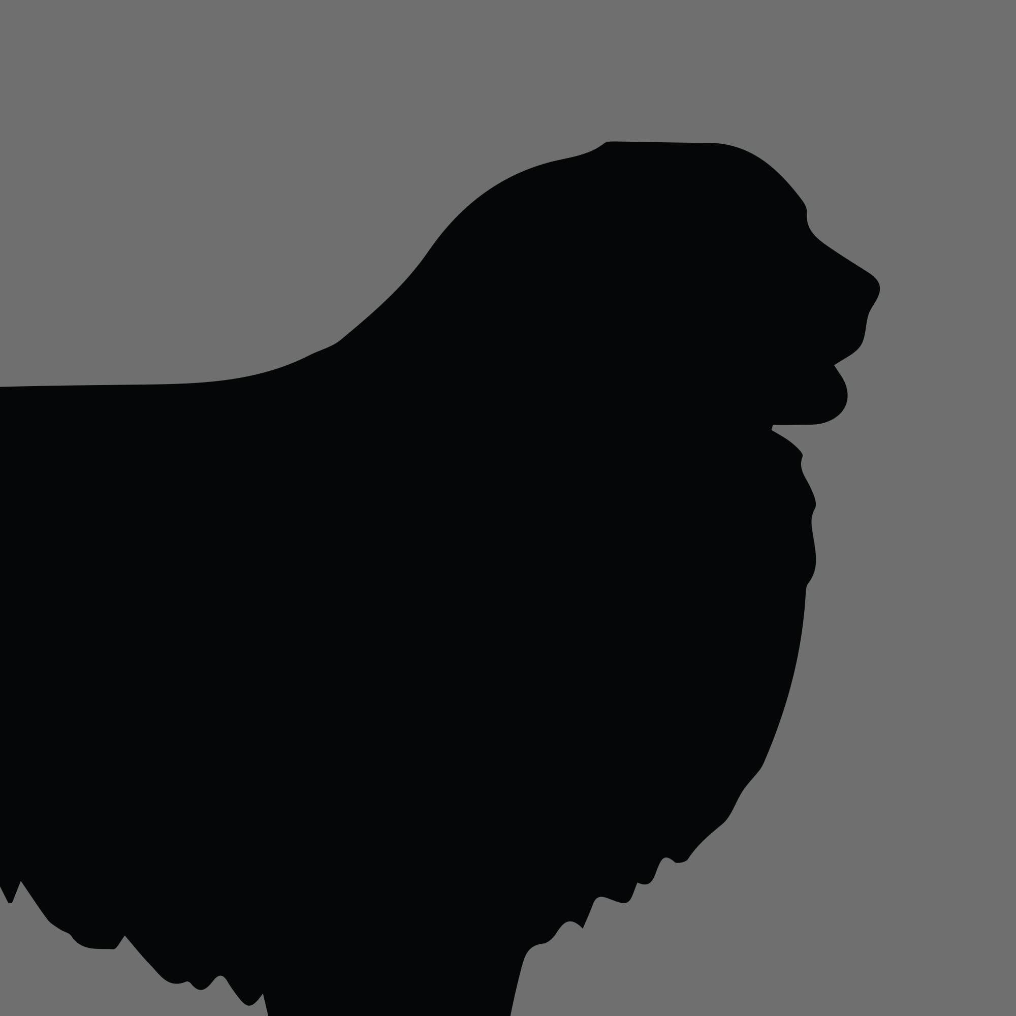 Dog Silhouette Square Pyrenean Mastiff e1618378276722