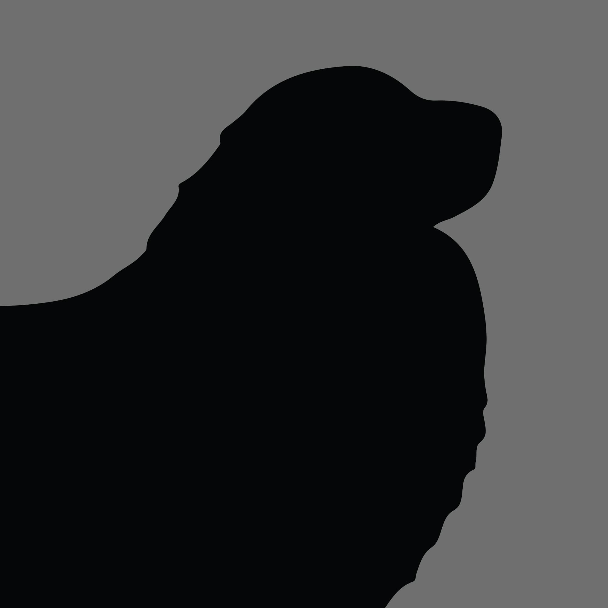 Dog Silhouette Square Pyrenean Mountain Dog