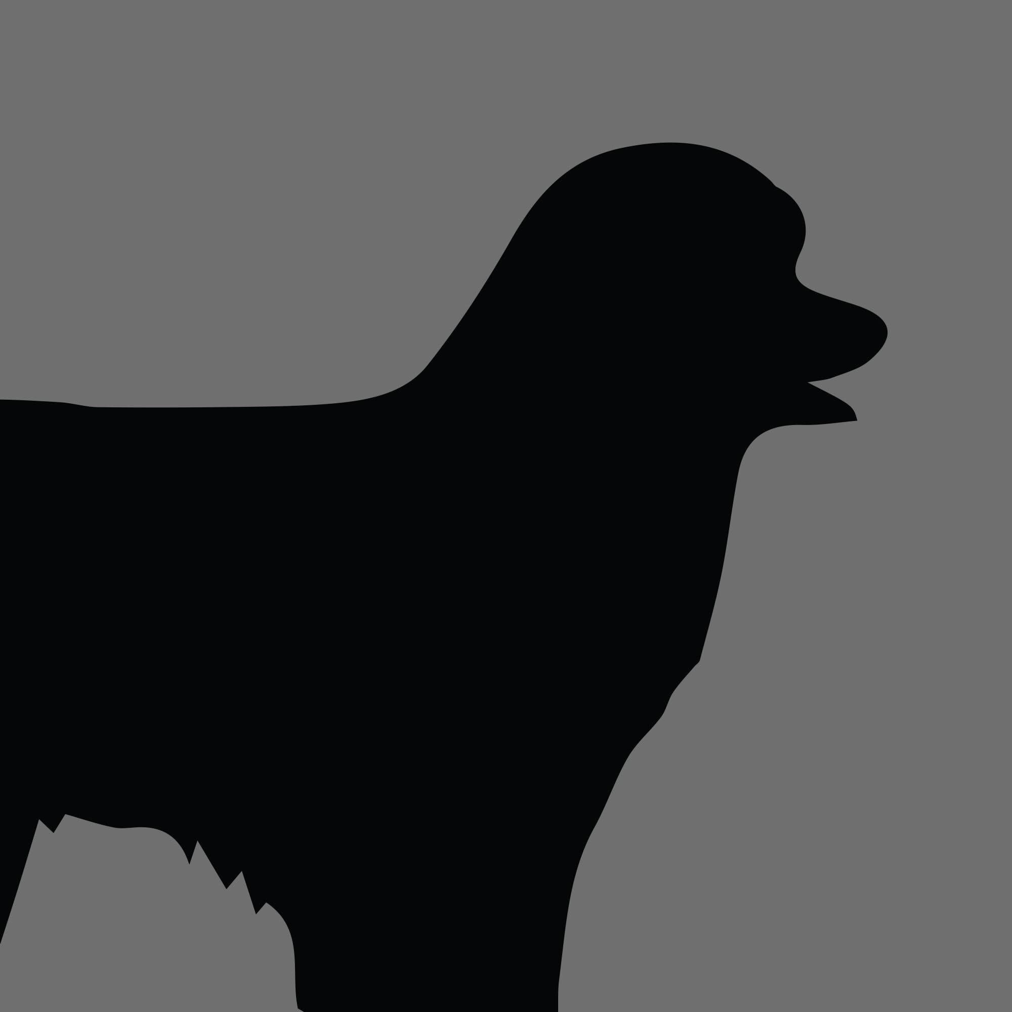 Dog Silhouette Square Pyrenean Sheepdog Longhaired e1618456802794 1
