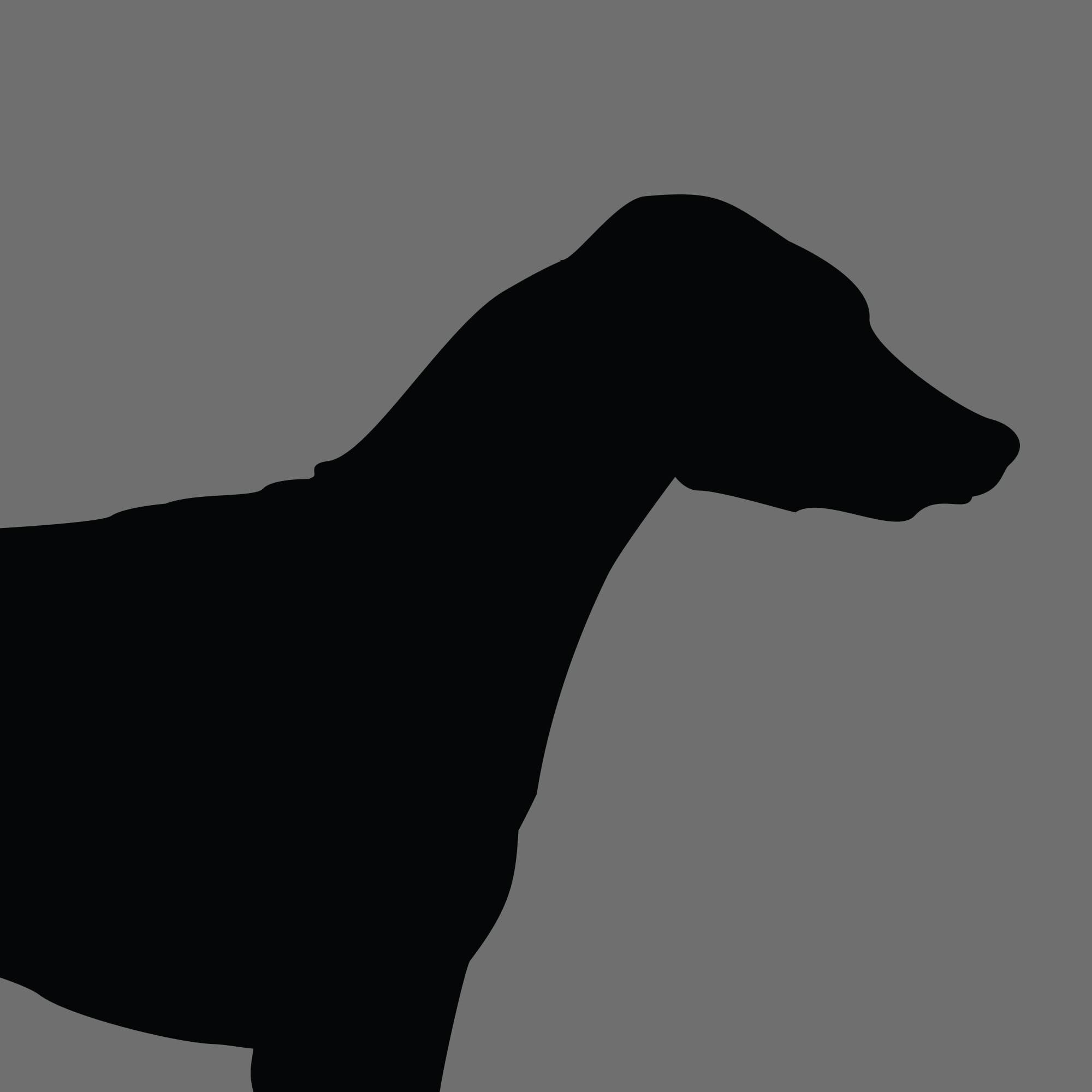 Dog Silhouette Square Rhodesian Ridgeback e1618456786252 1