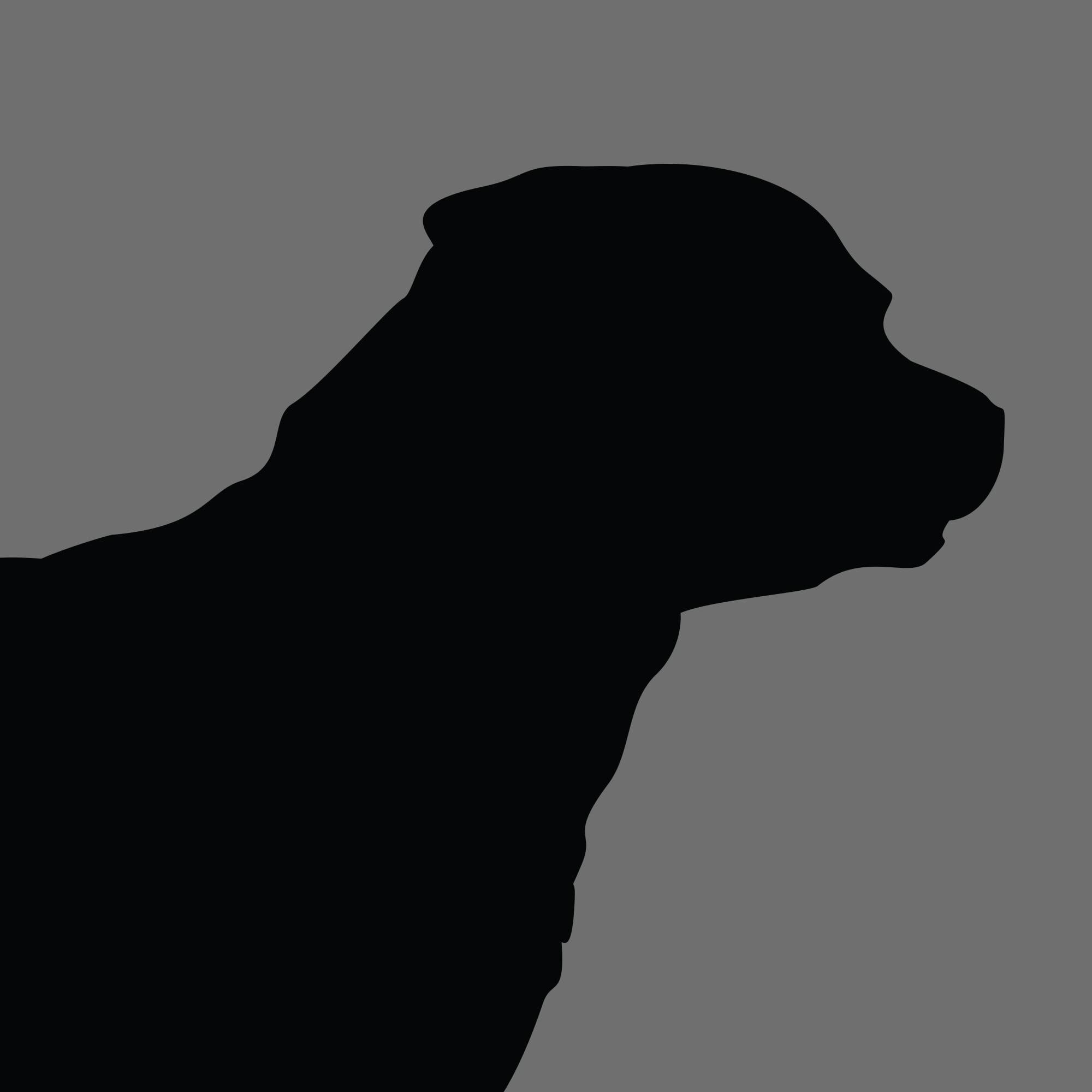 Dog Silhouette Square Rottweiler e1618456770963