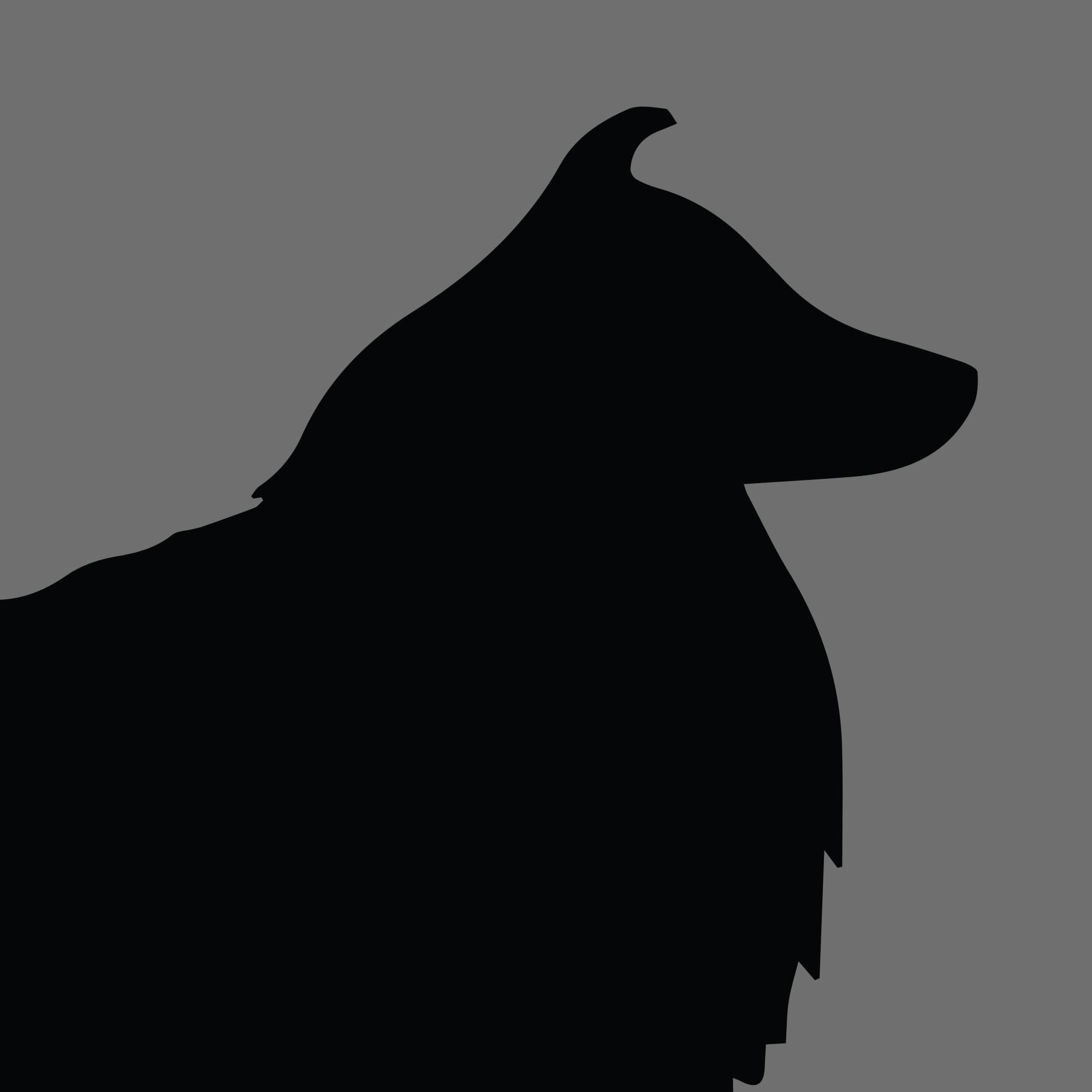 Dog Silhouette Square Rough Collie