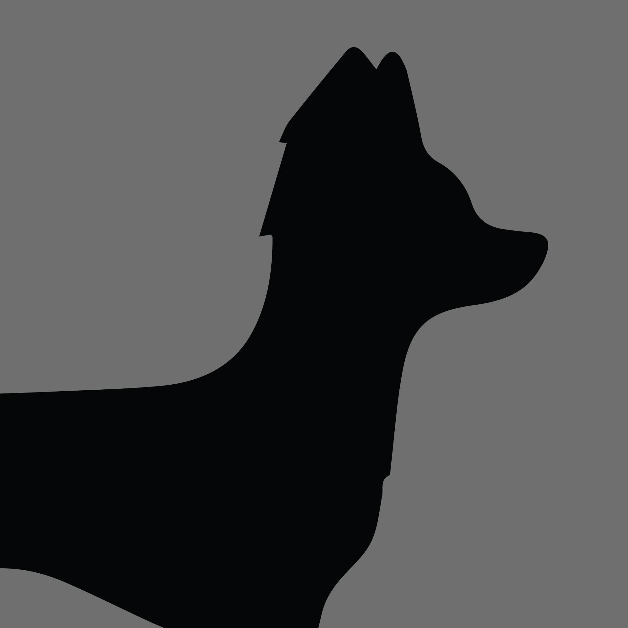 Dog Silhouette Square Russian Toy Long Haired e1618391940945 1