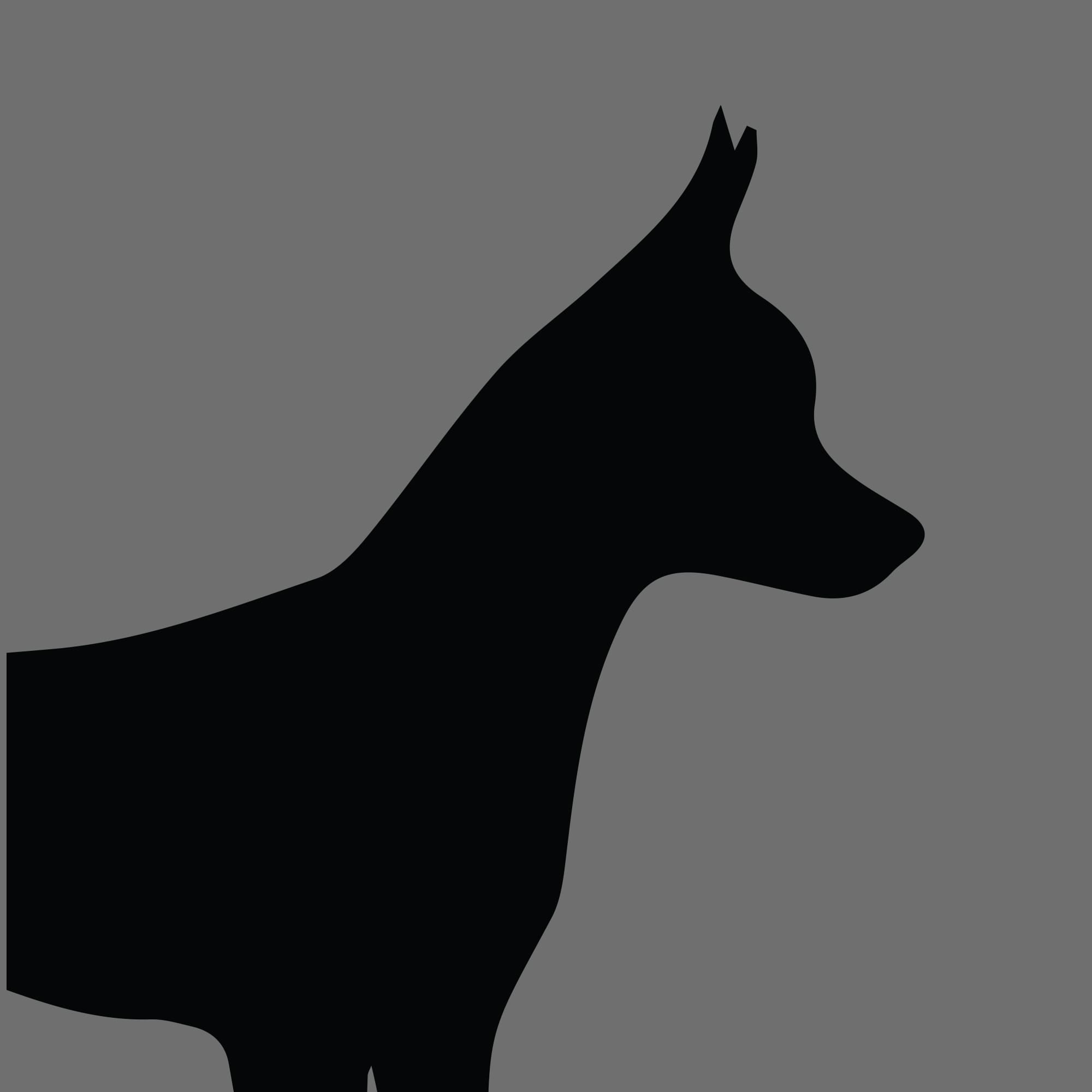 Dog Silhouette Square Russian Toy Smooth Haired
