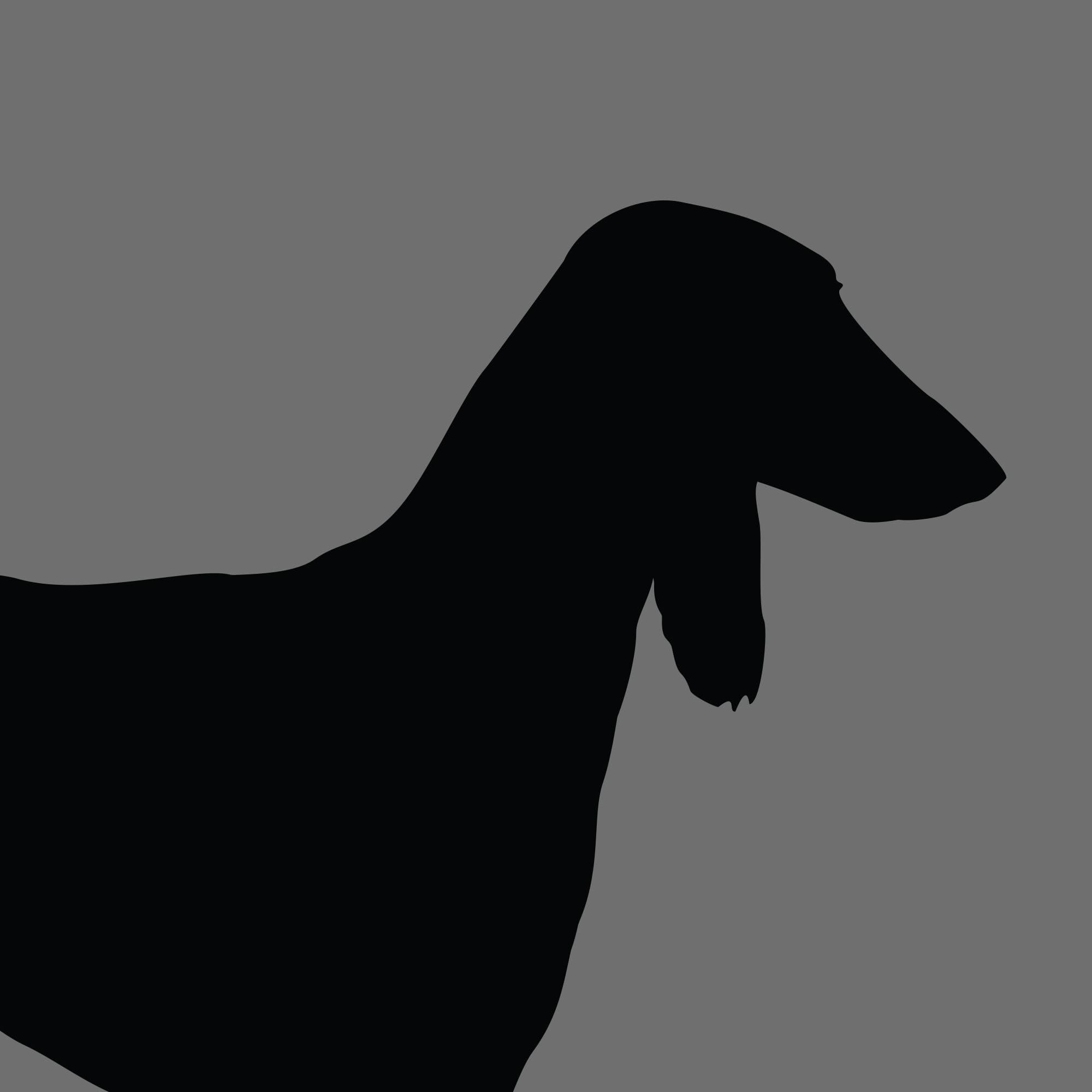 Dog Silhouette Square Saluki e1618456737580