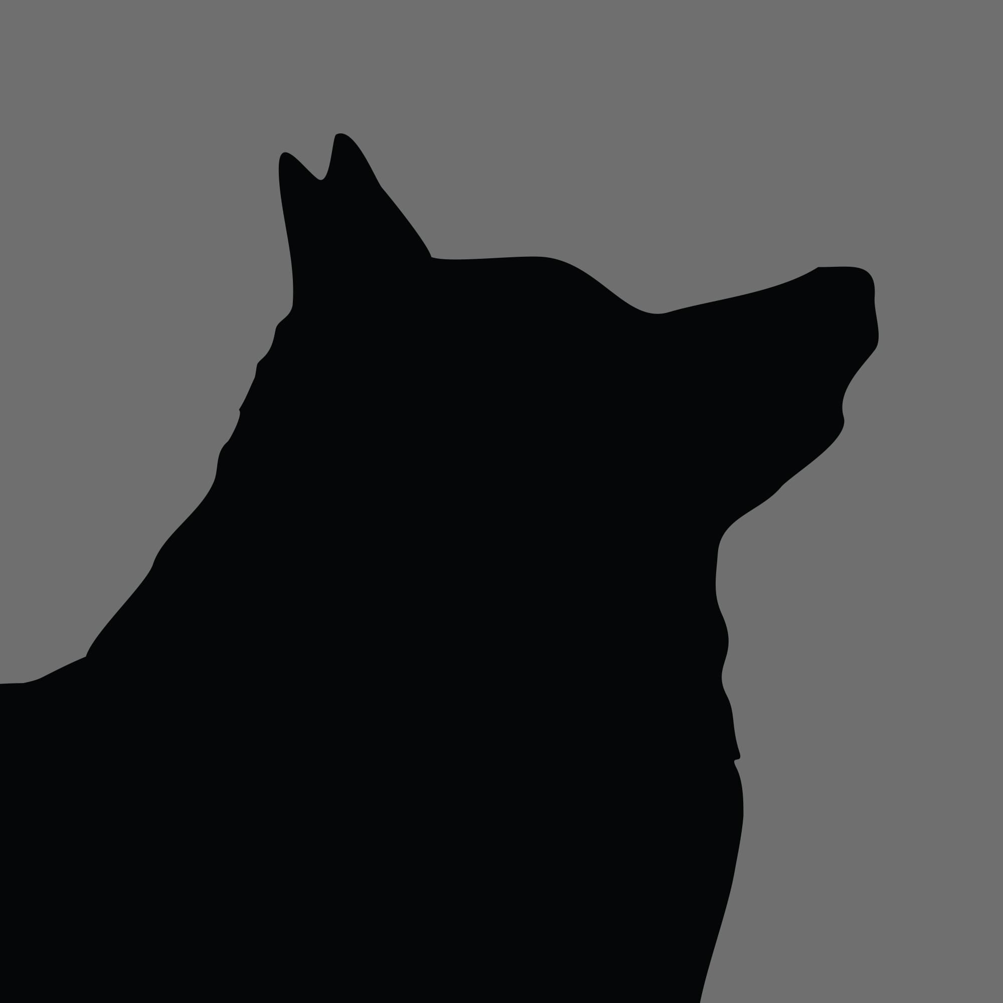 Dog Silhouette Square Schipperke