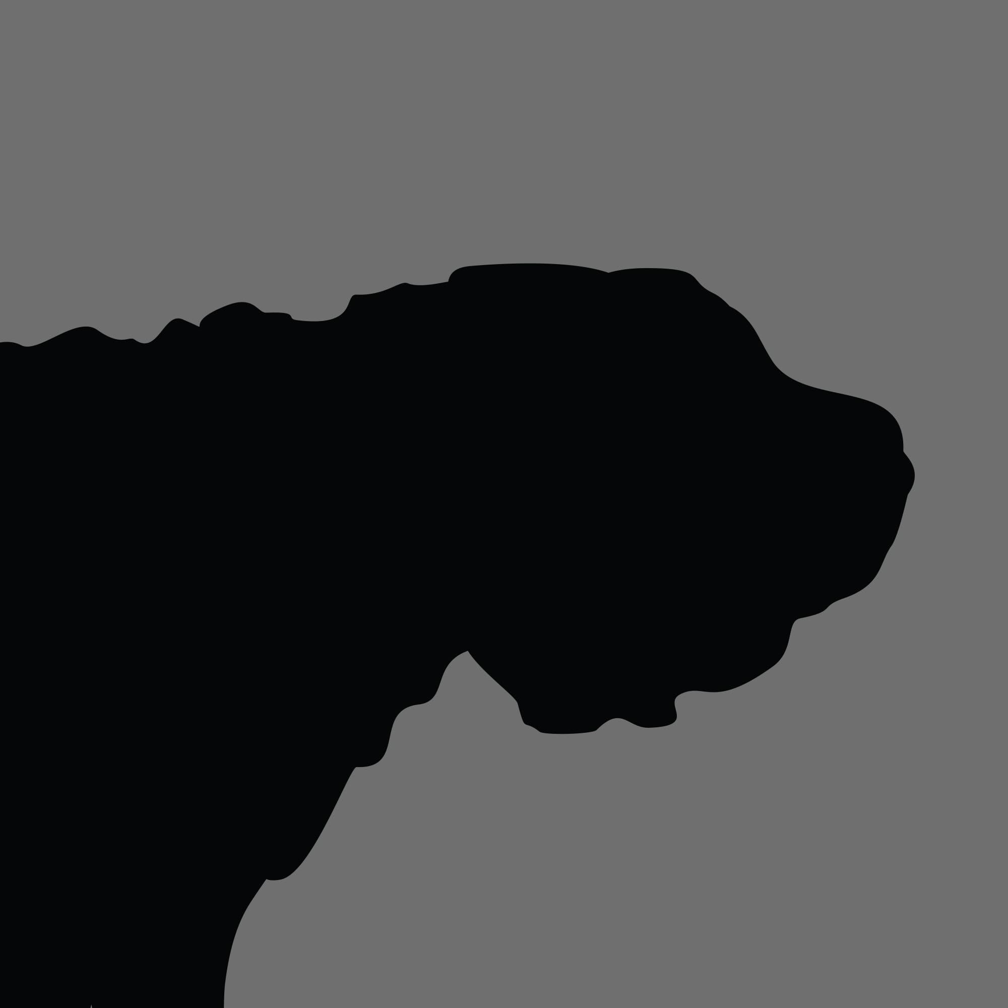 Dog Silhouette Square Shar Pei e1618393548314 1