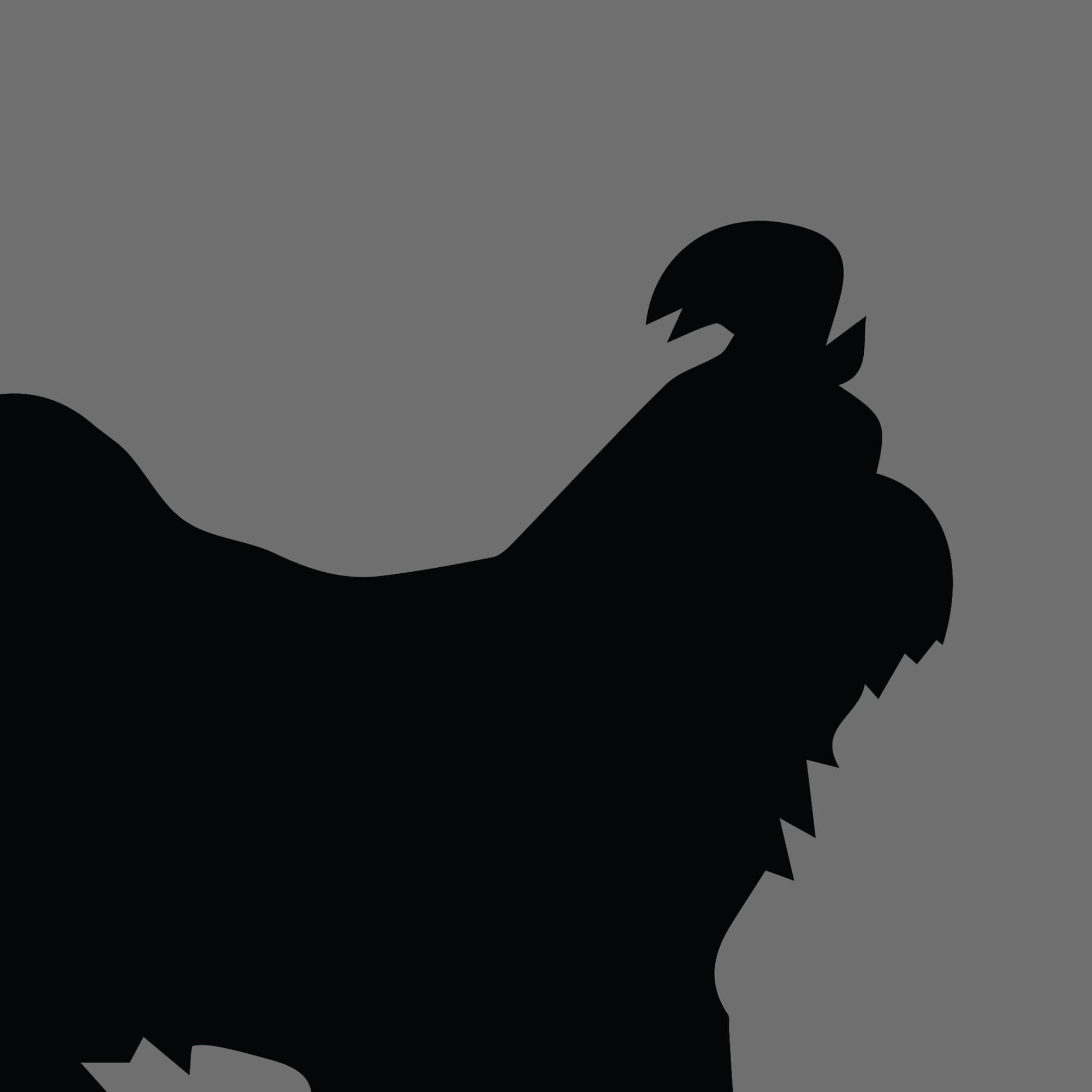 Dog Silhouette Square Shih Tzu e1618393937209 1