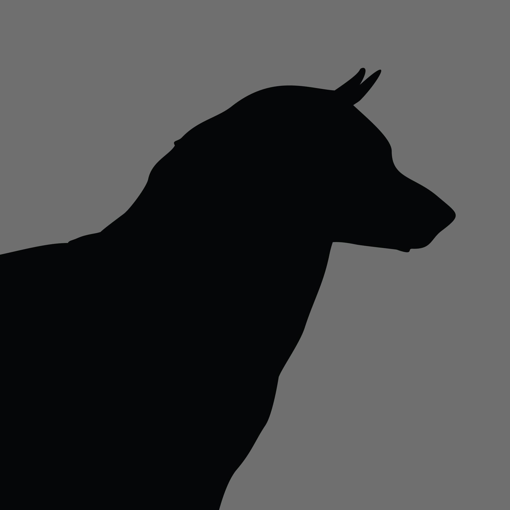 Dog Silhouette Square Siberian Husky e1618394382222 1