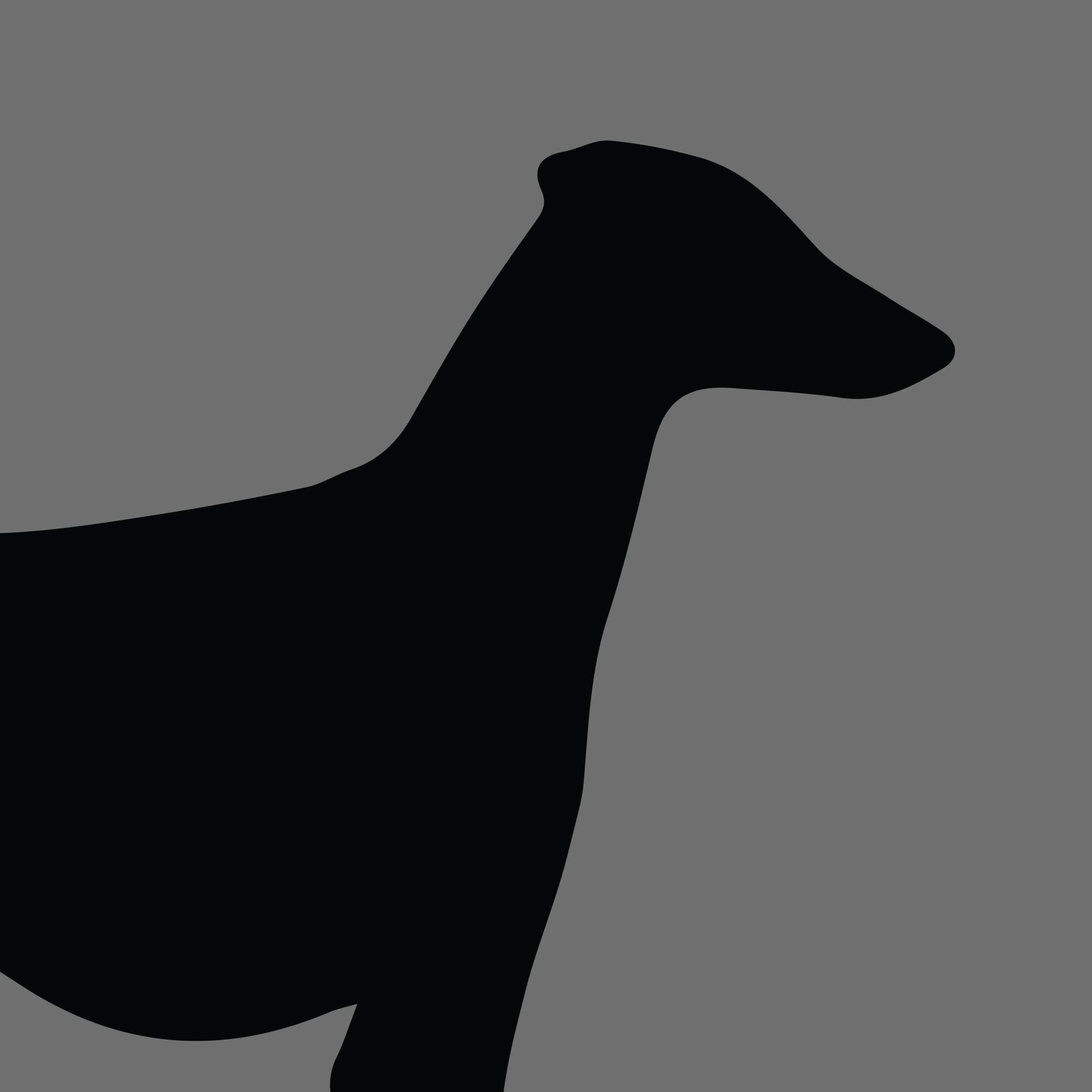 Dog Silhouette Square Sloughi