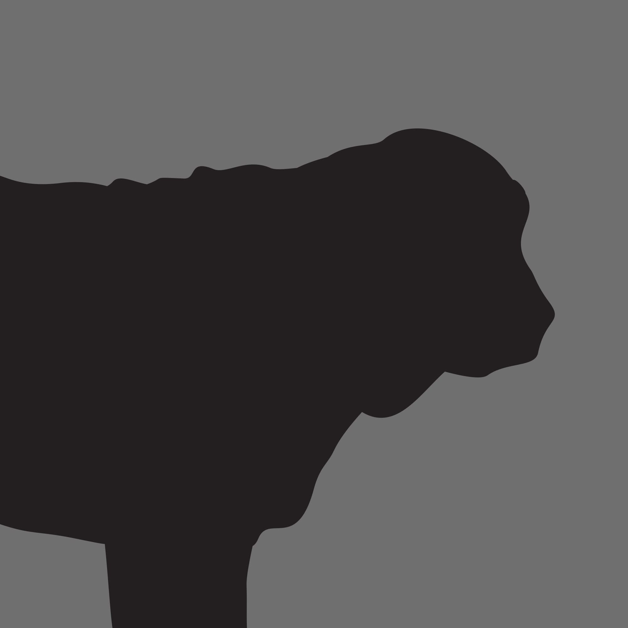 Dog Silhouette Square Spanish Mastiff e1618394843507