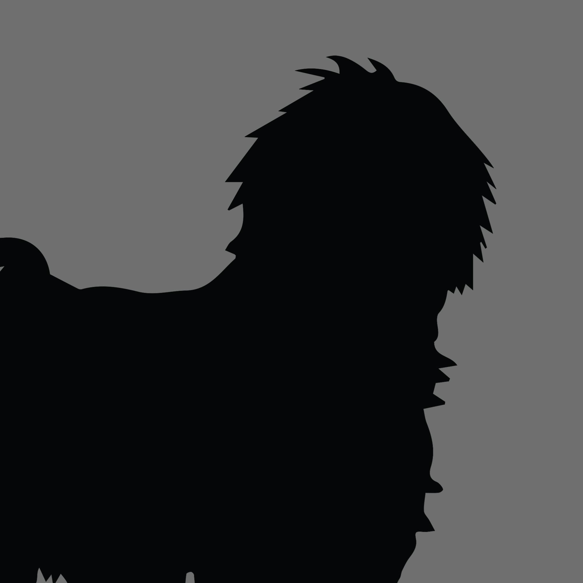 Dog Silhouette Square Spanish Water Dog