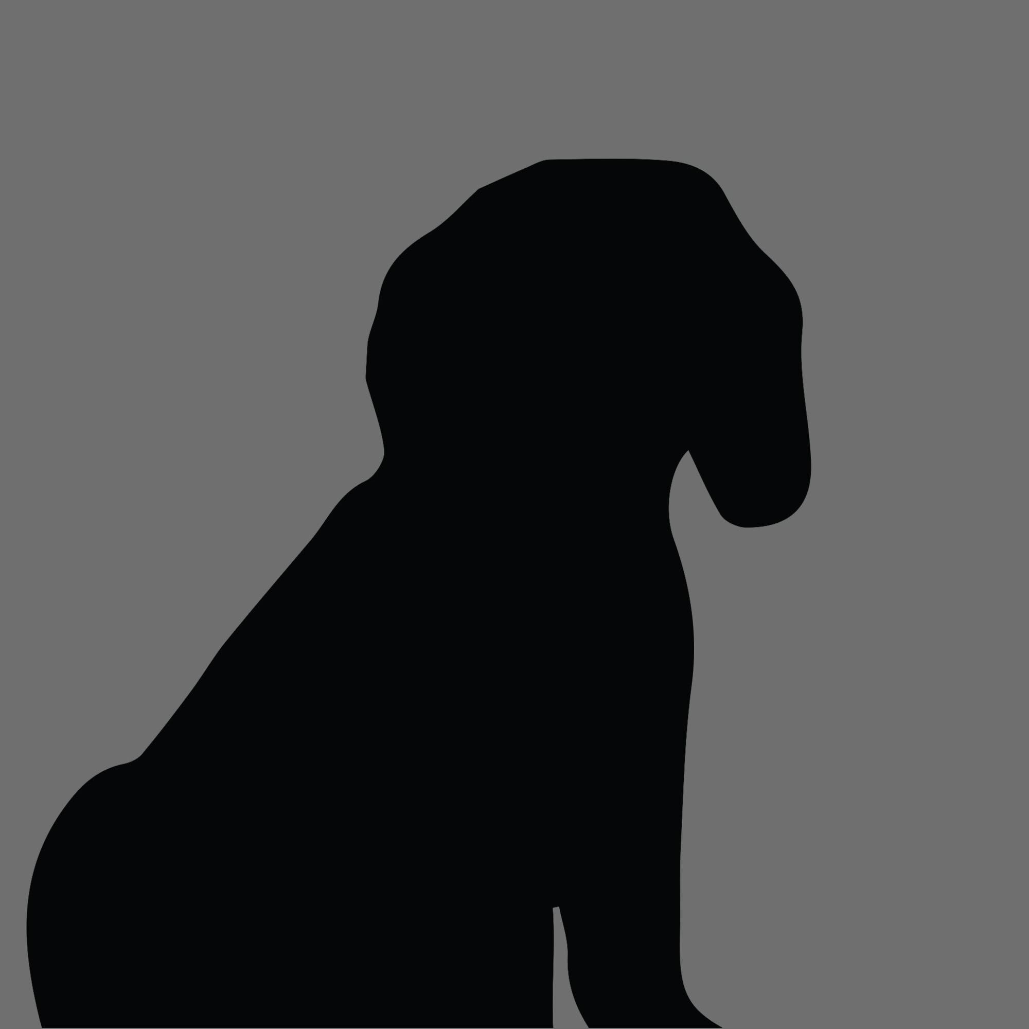 Dog Silhouette Square Spoodle e1618395307644 1