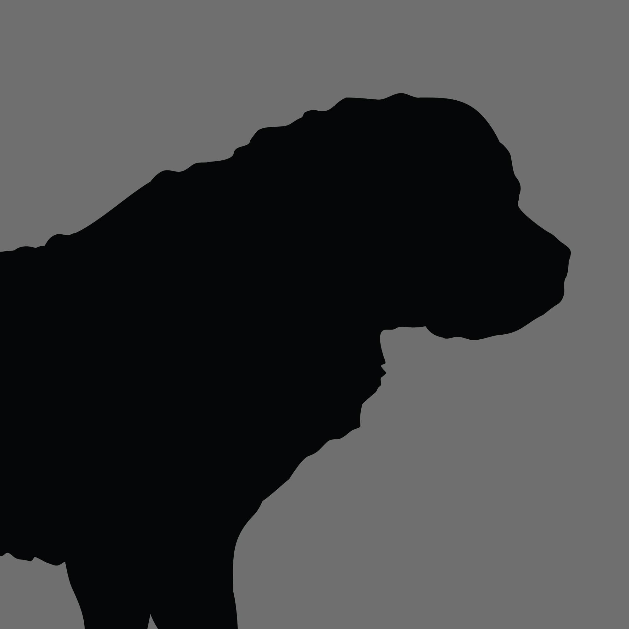 Dog Silhouette Square St Bernard Dog e1618395643617