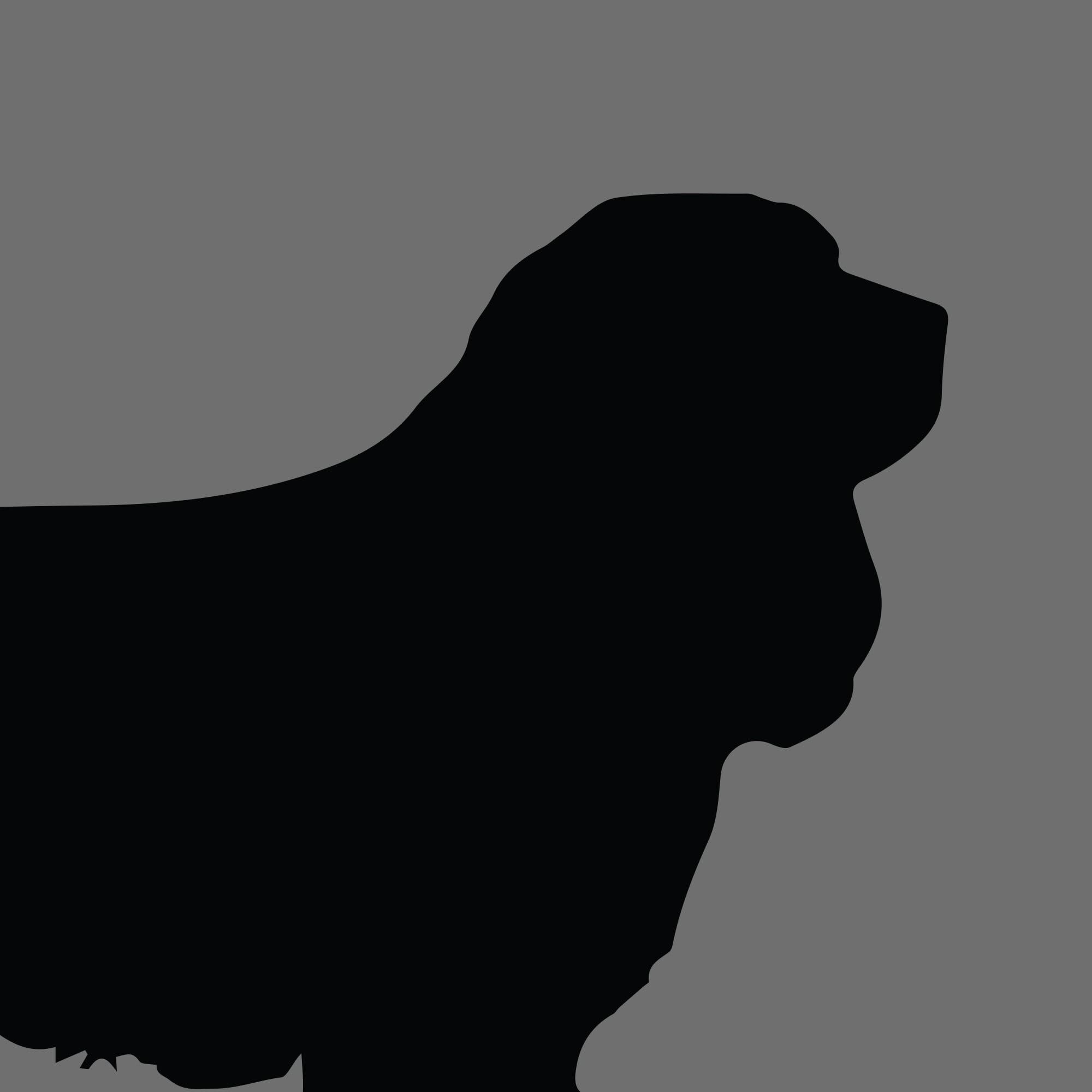 Dog Silhouette Square Sussex Spaniel e1618395922745