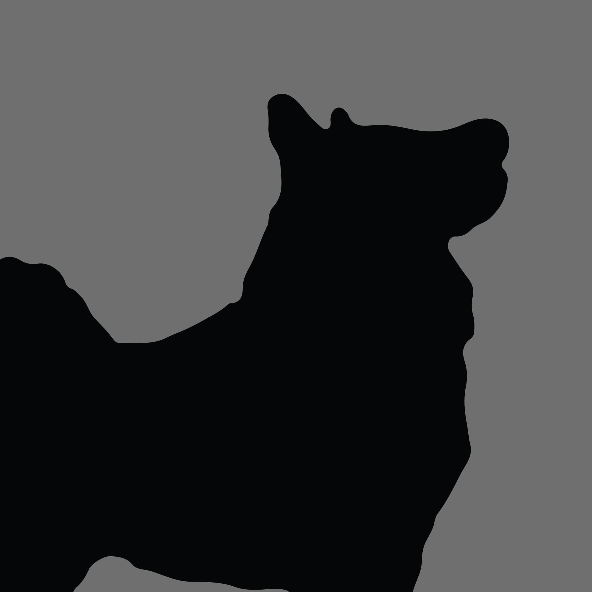 Dog Silhouette Square Swedish Lapphund 1