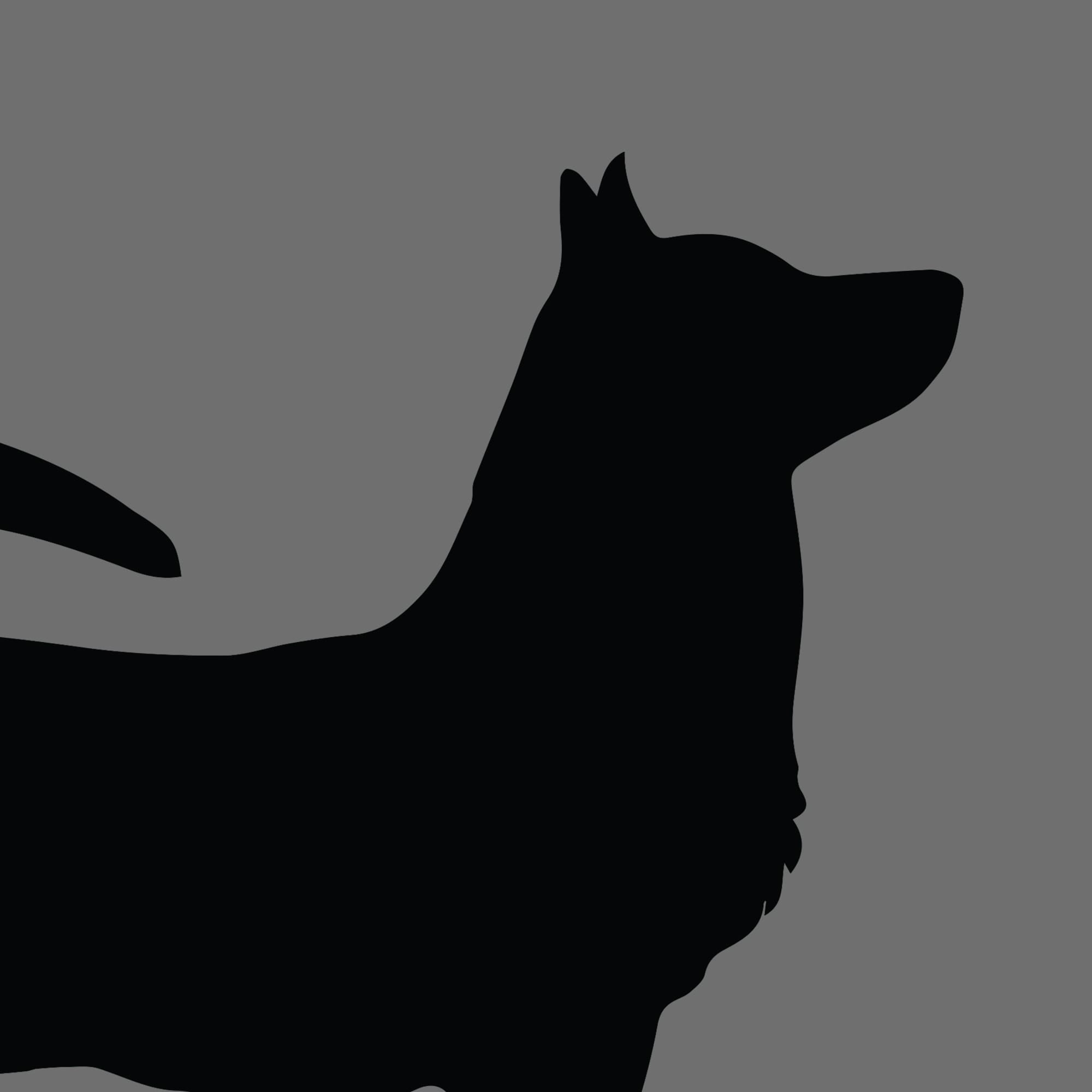 Dog Silhouette Square Swedish Vallhund