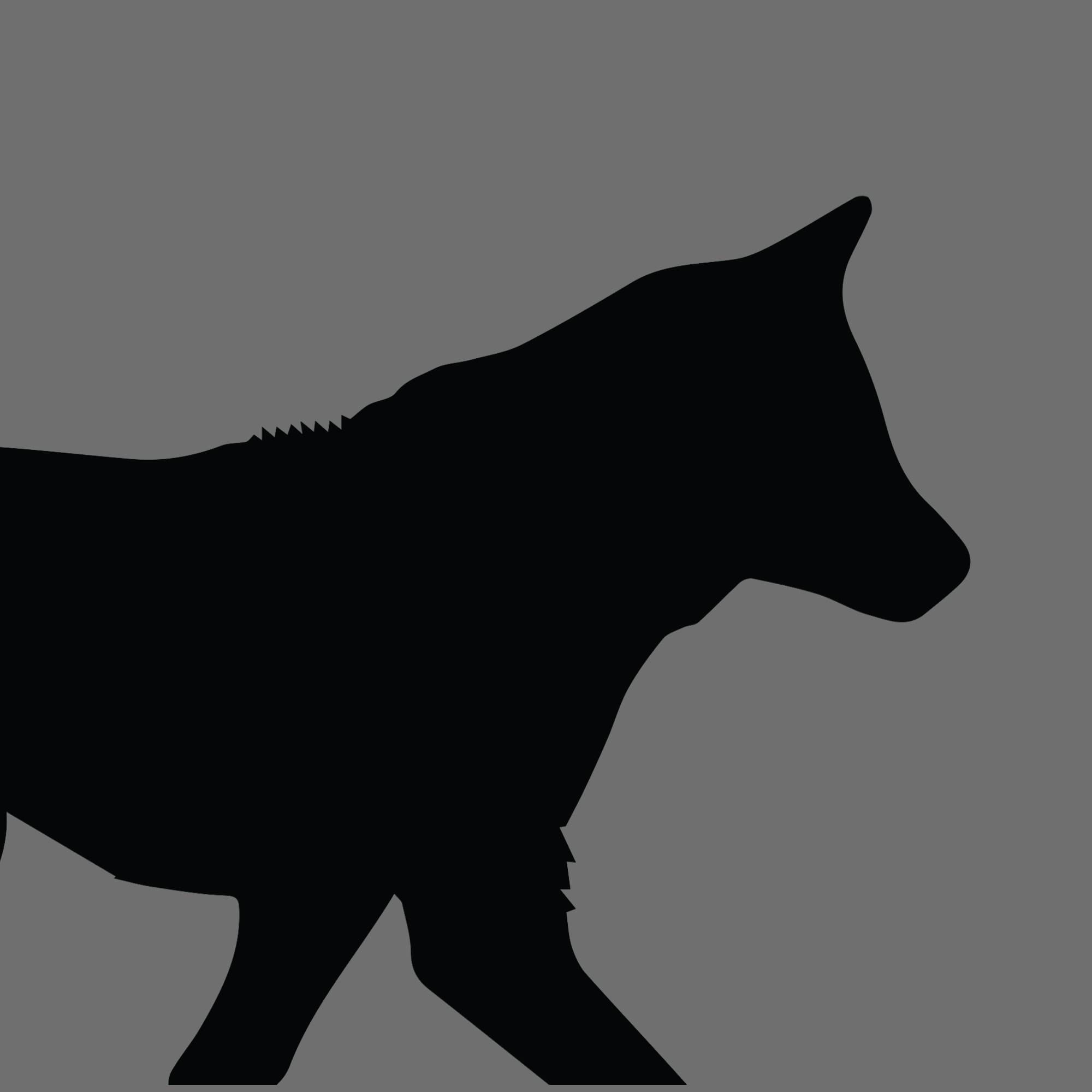 Dog Silhouette Square Tamaskan