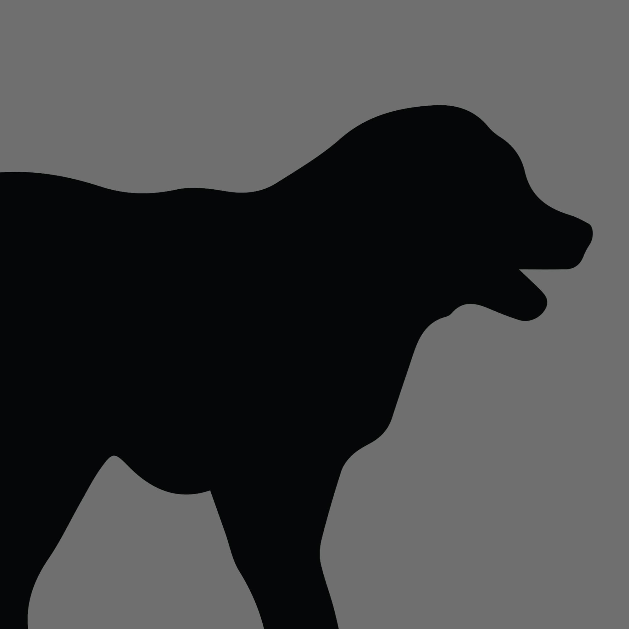Dog Silhouette Square Tatra Shepherd Dog
