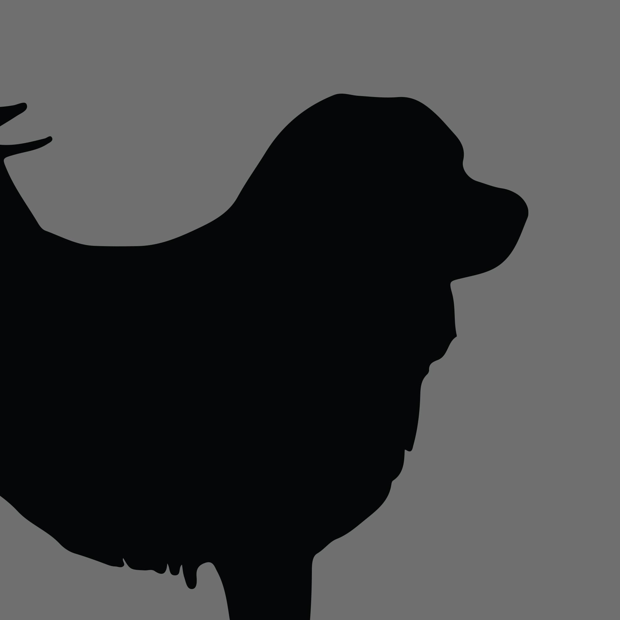 Dog Silhouette Square Tibetan Mastiff