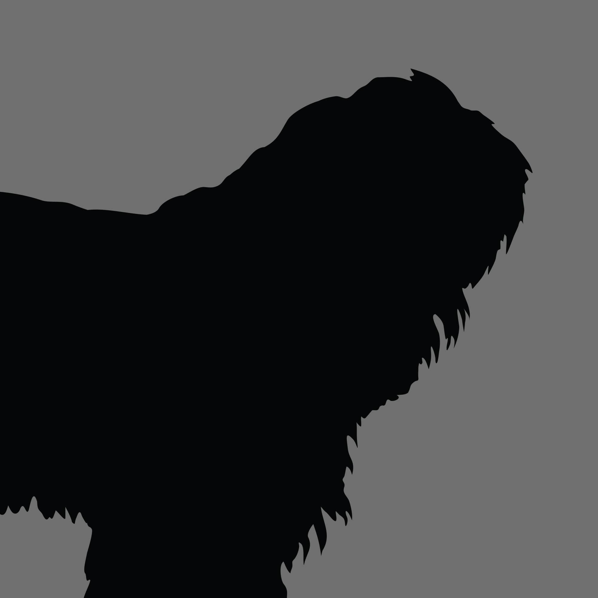 Dog Silhouette Square Tibetan Terrier e1618396803834
