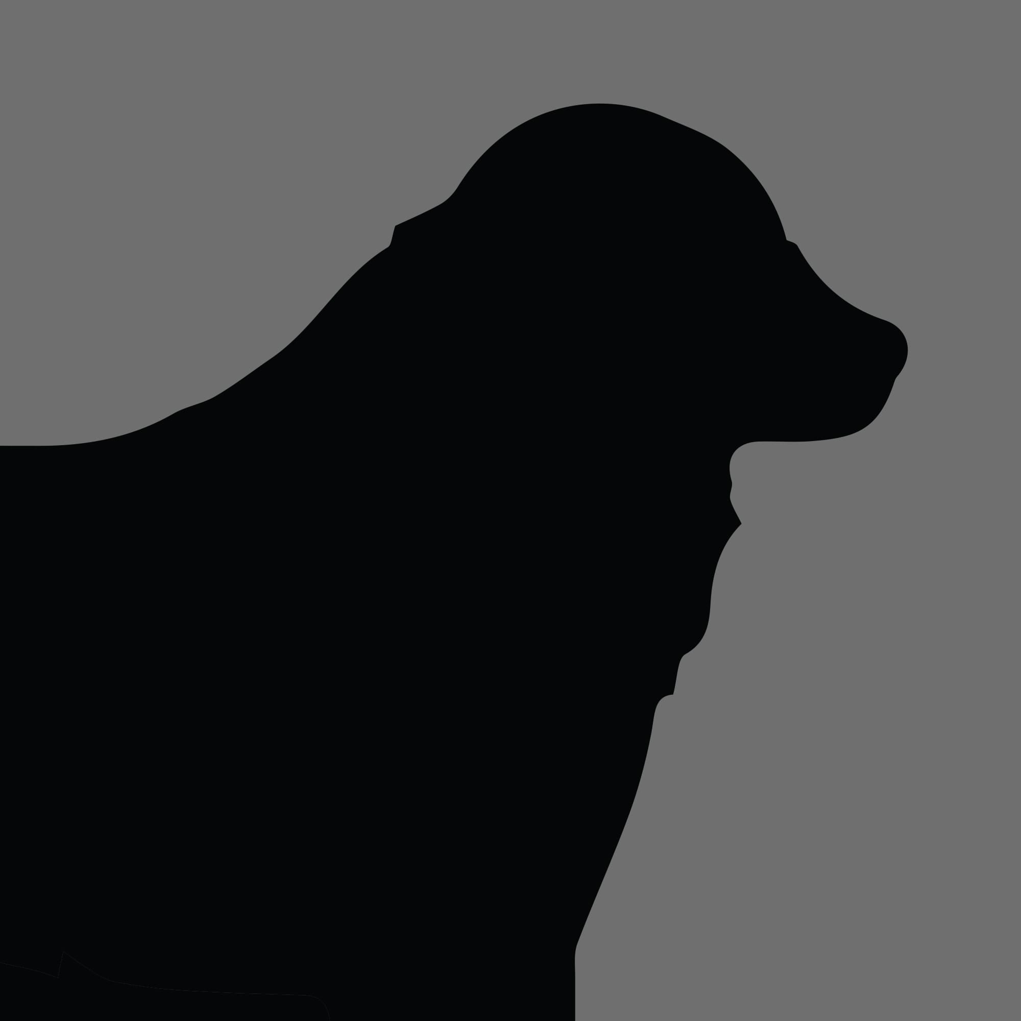 Dog Silhouette Square Tornjak