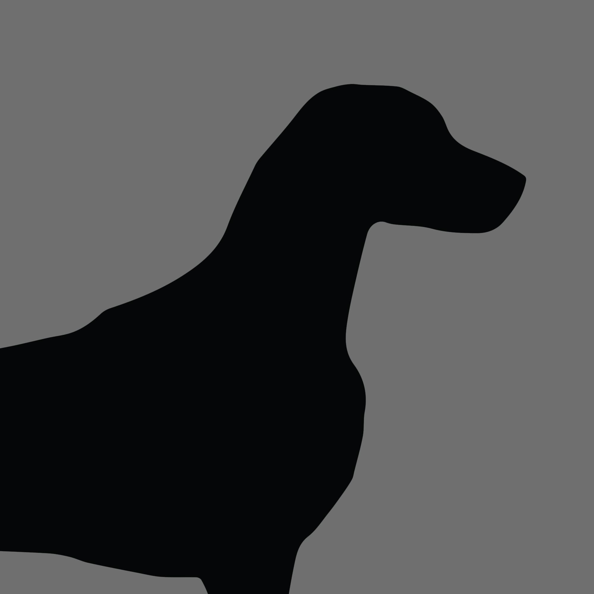 Dog Silhouette Square Weimaraner Short Hair