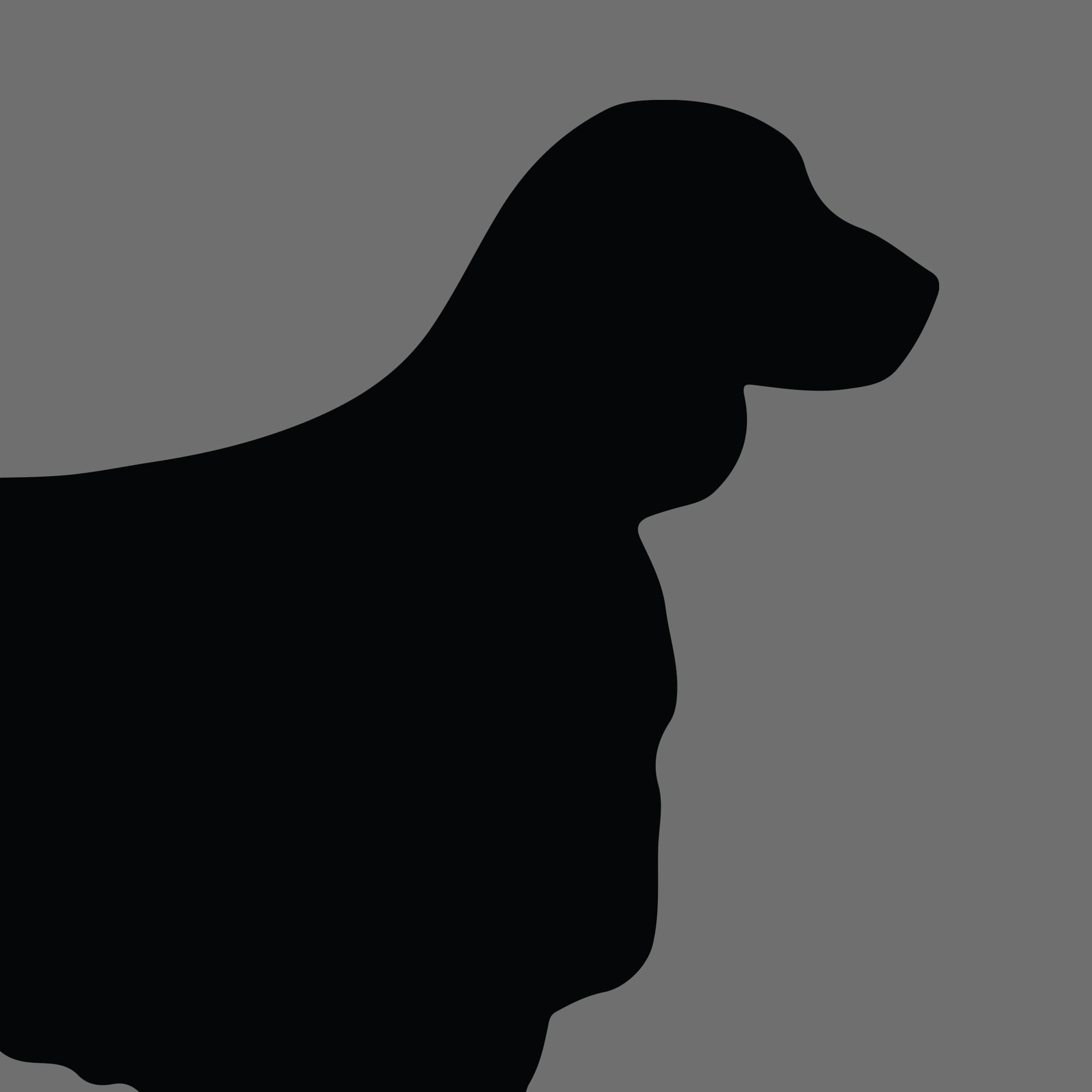 Dog Silhouette Square Welsh Springer Spaniel