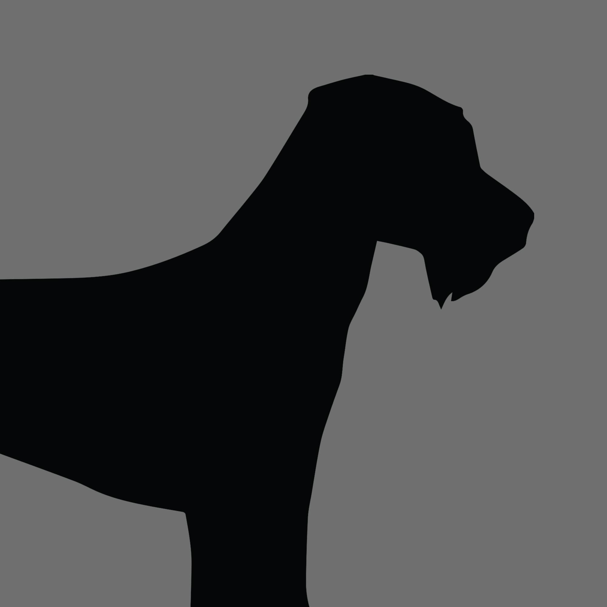 Dog Silhouette Square Welsh Terrier 1