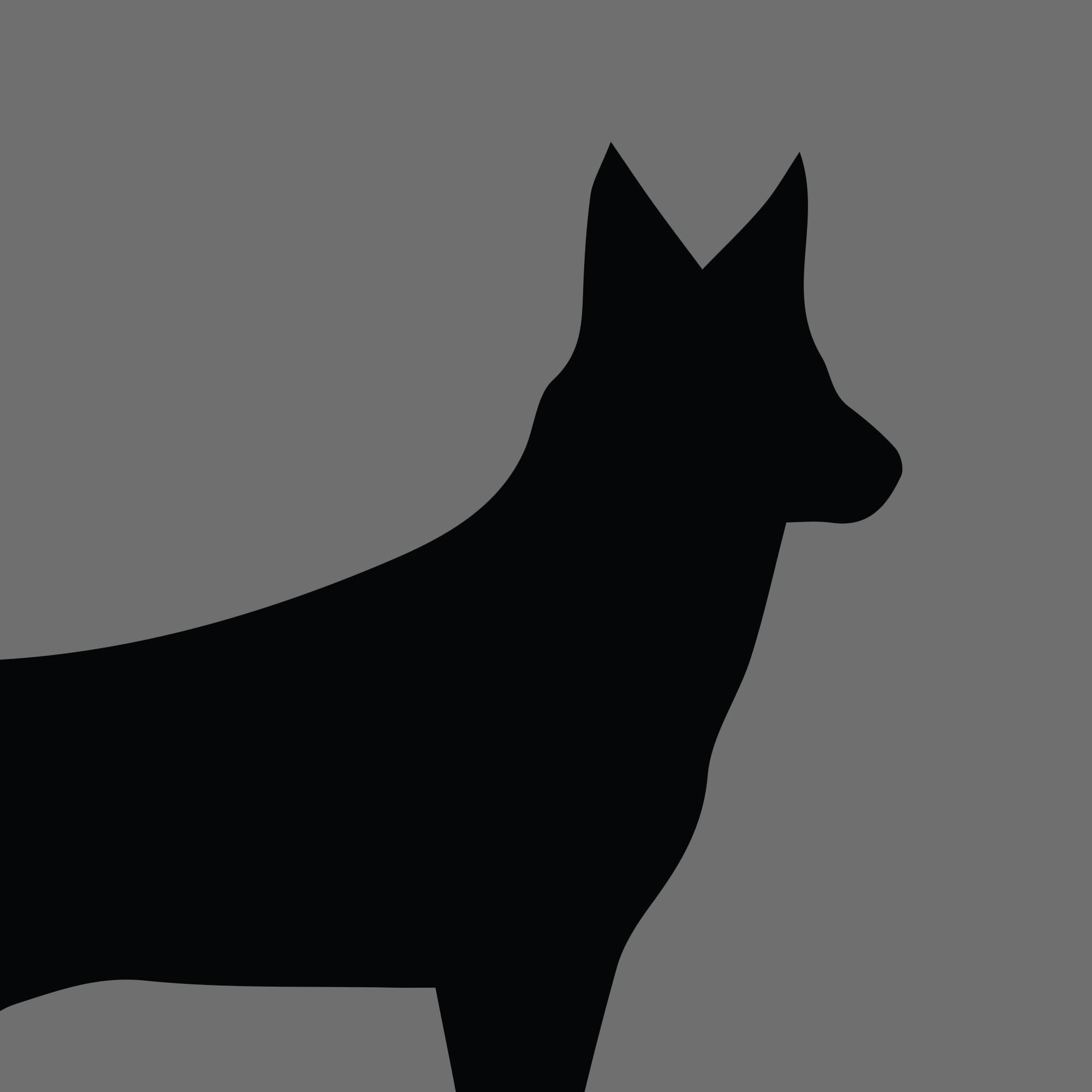 Dog Silhouette Square White Swiss Shepherd Dog e1618456604568